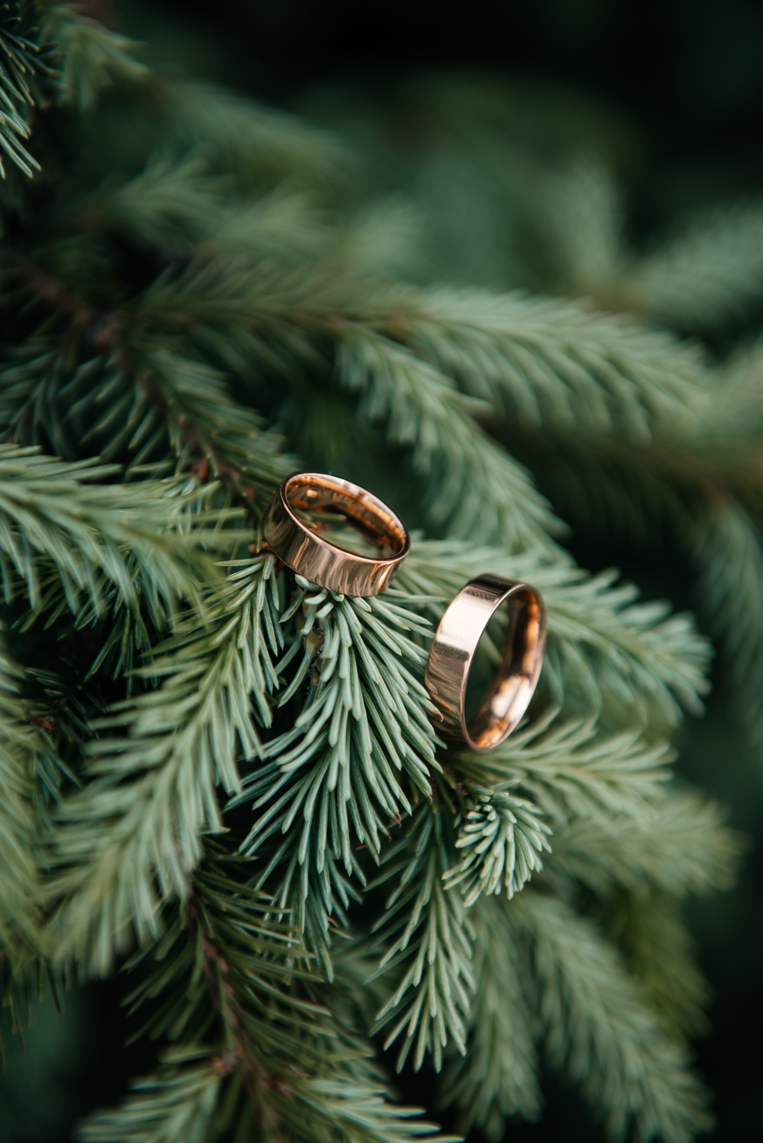 Василий и Наталья. Свадебный фотограф Иркутск Алексей Шульгин