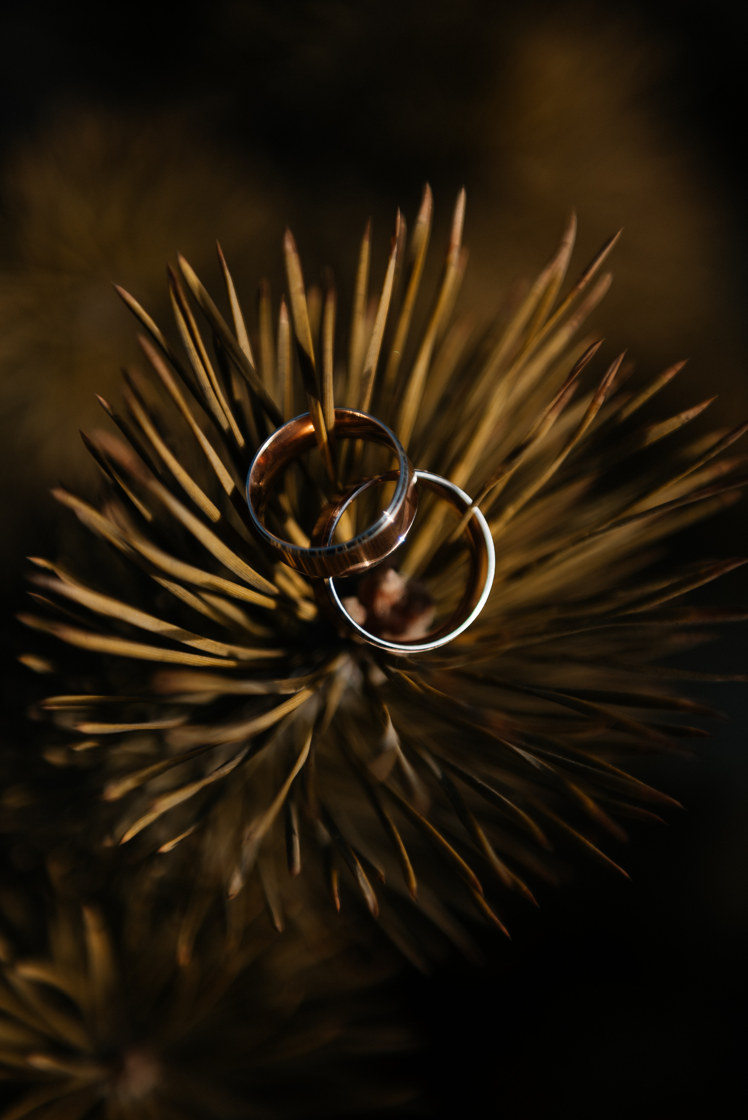 Дмитрий и Ирина. Свадебный фотограф Иркутск Алексей Шульгин