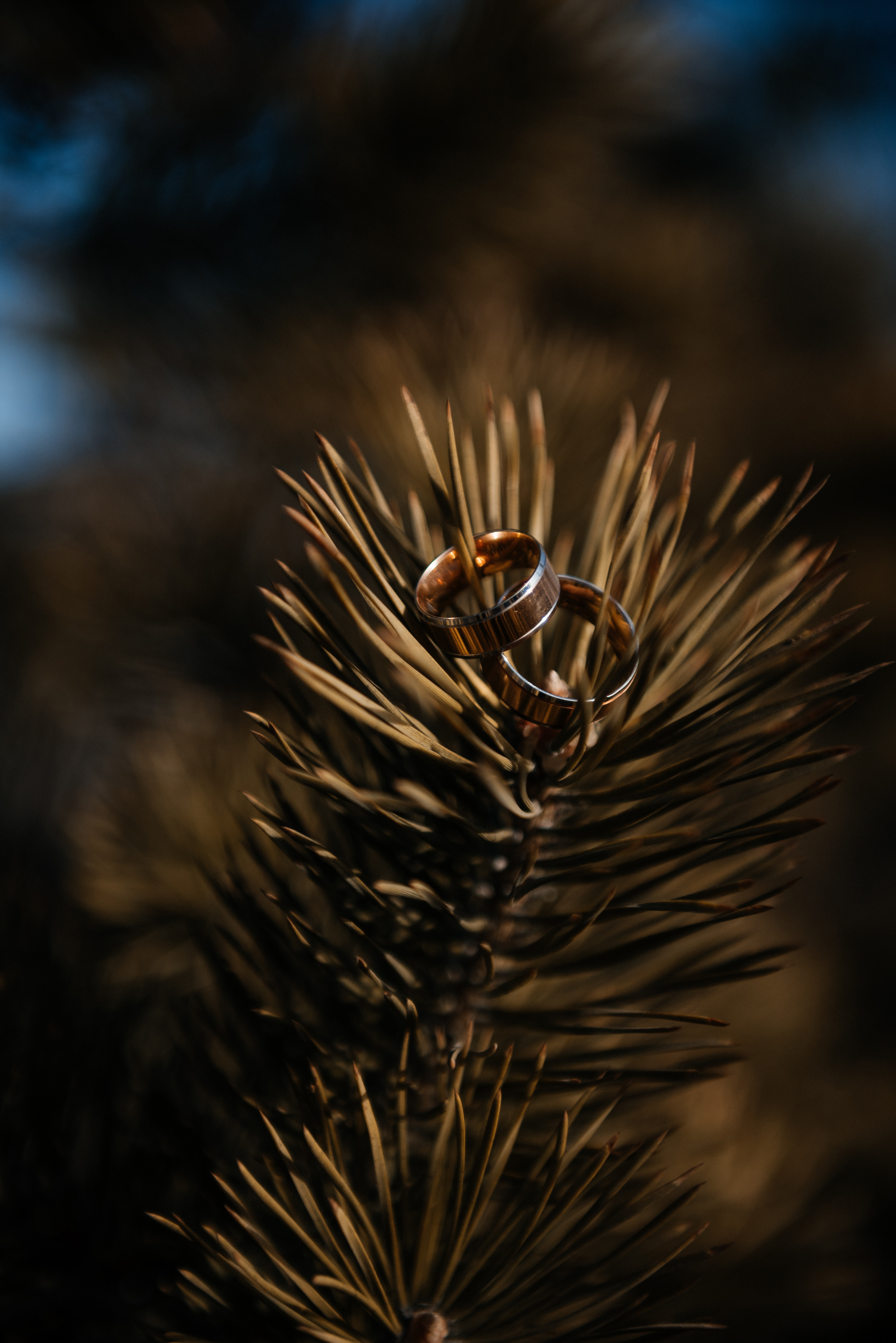 Дмитрий и Ирина. Свадебный фотограф Иркутск Алексей Шульгин