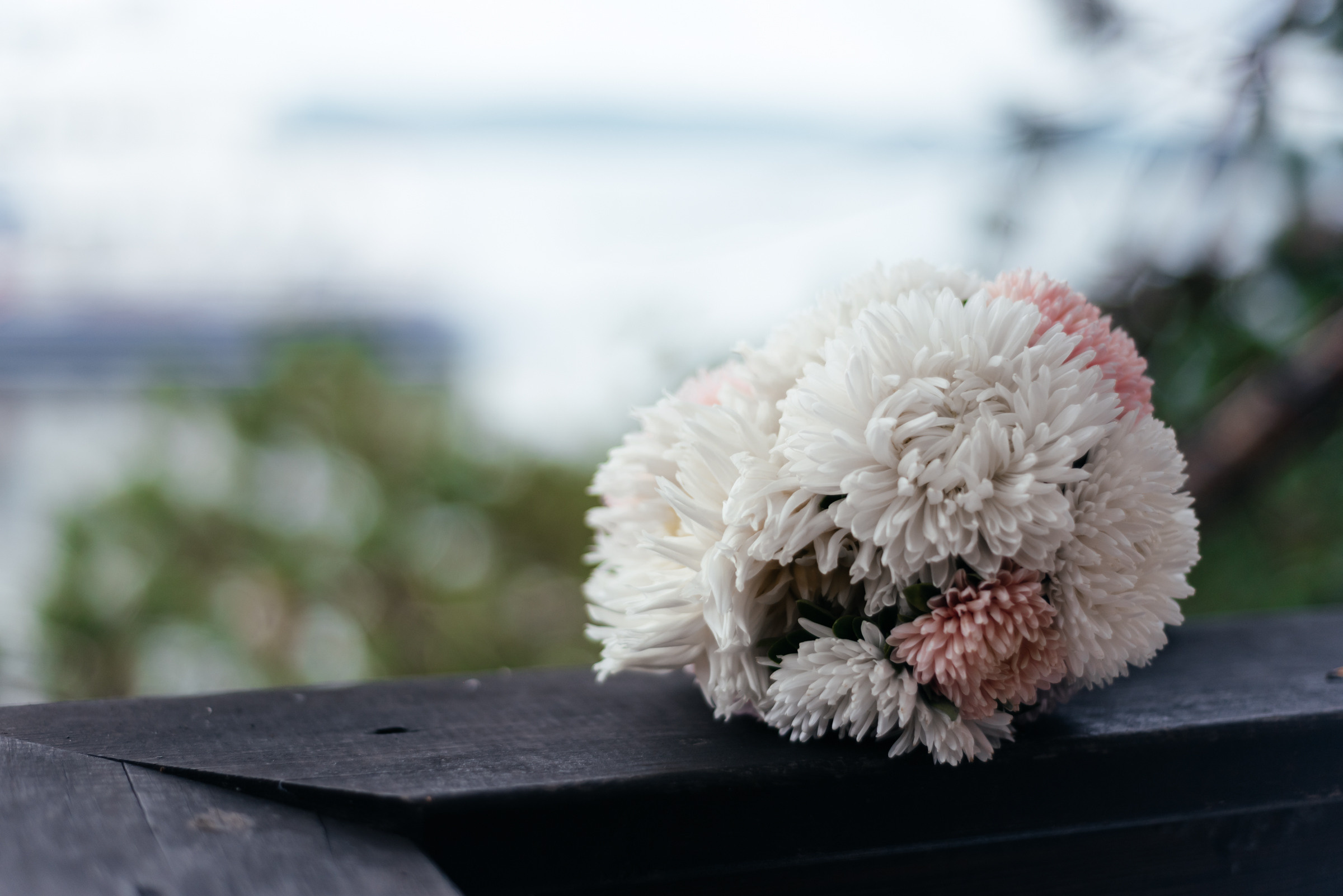 Константин и Тамара. Свадебный фотограф Иркутск Алексей Шульгин