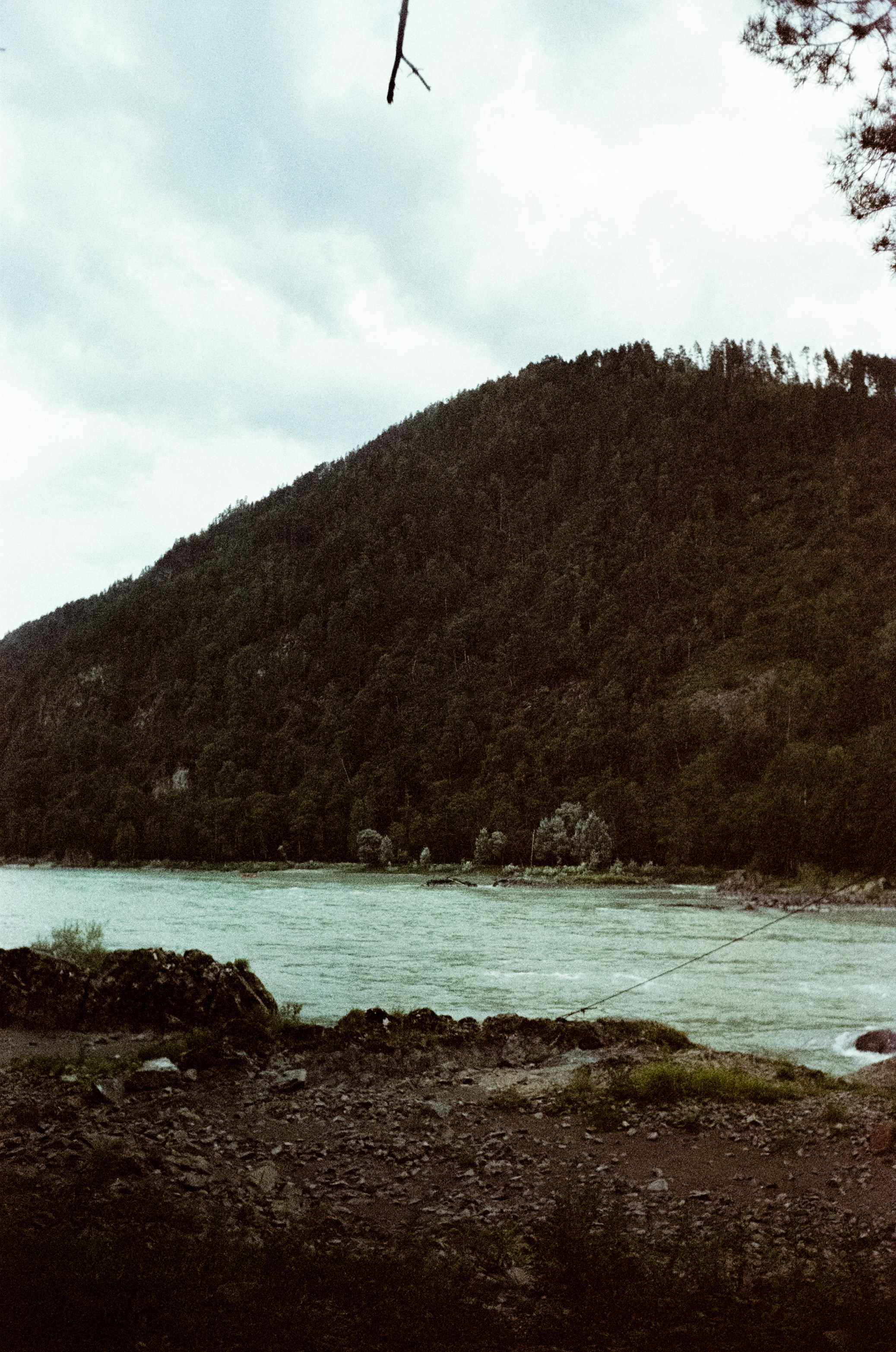 АЛТАЙ осень 2024 / Minox 35 GT (2) / Kodak Ultra Gold 400 24К (просрочка)