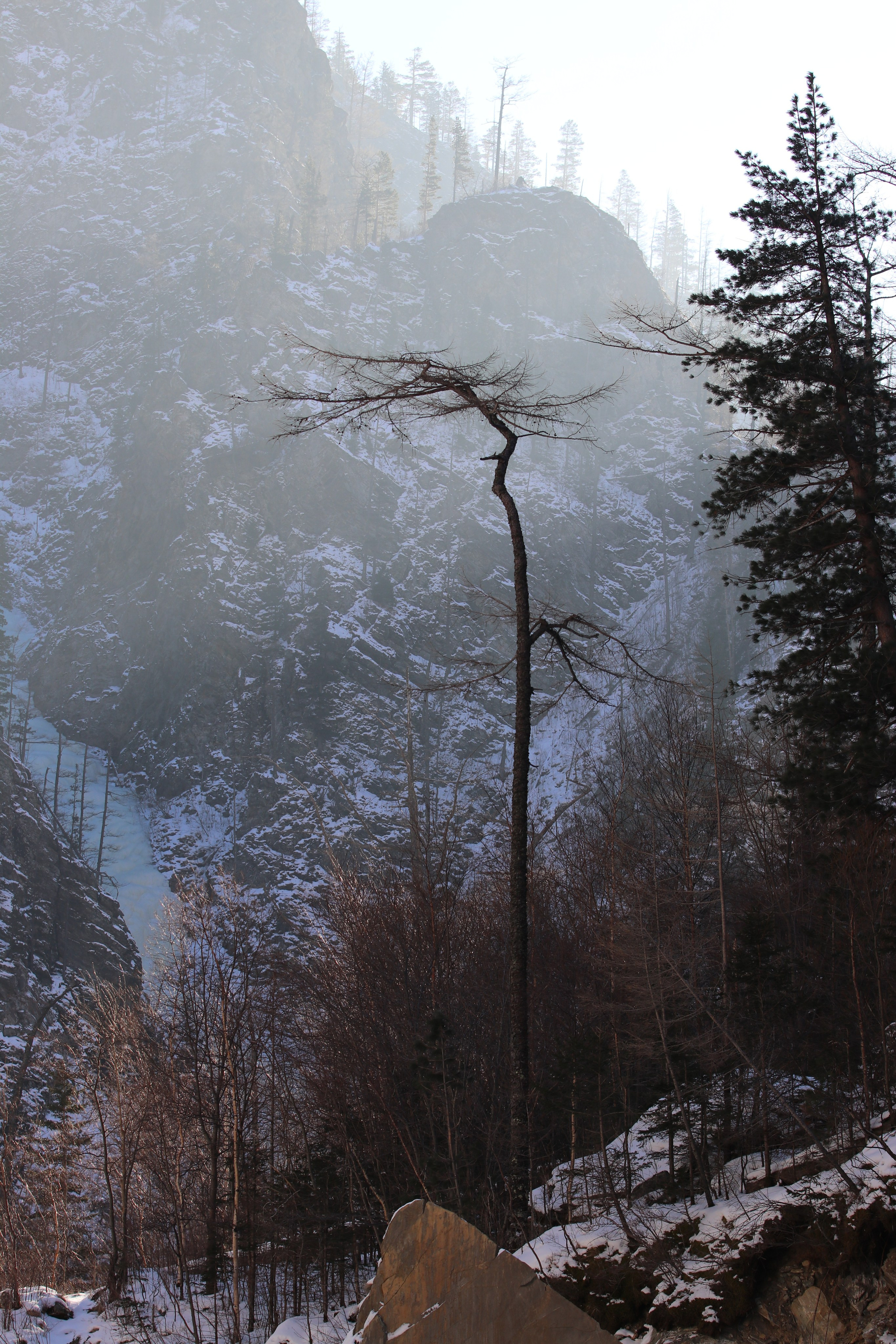 Аршан. Январь 2022. Путешественник-фотограф из Санкт-Петербурга Татьяна Свистулина