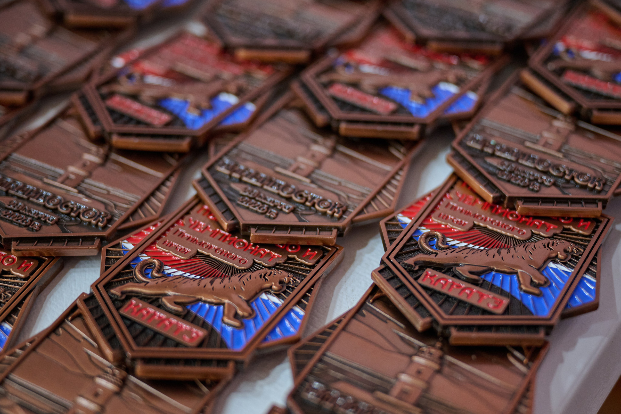 Чемпионат первенства Приморья по карате 28.03.26. Профессиональный репортажный фотограф Инесса Иминова