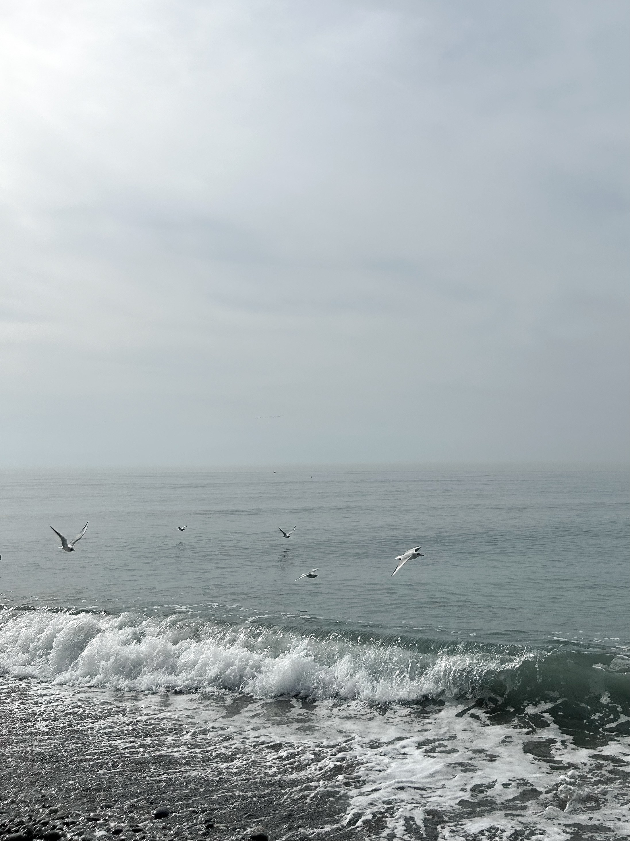 Весеннее море. Главная