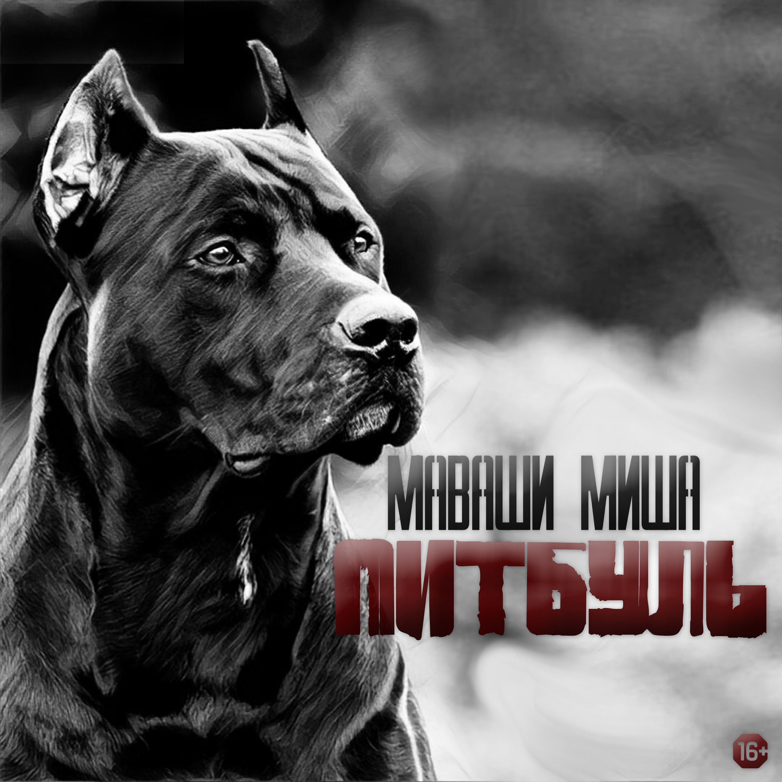 ОБЛОЖКИ. Репортажный и портретный фотограф в Екатеринбурге Гизатуллин Марат