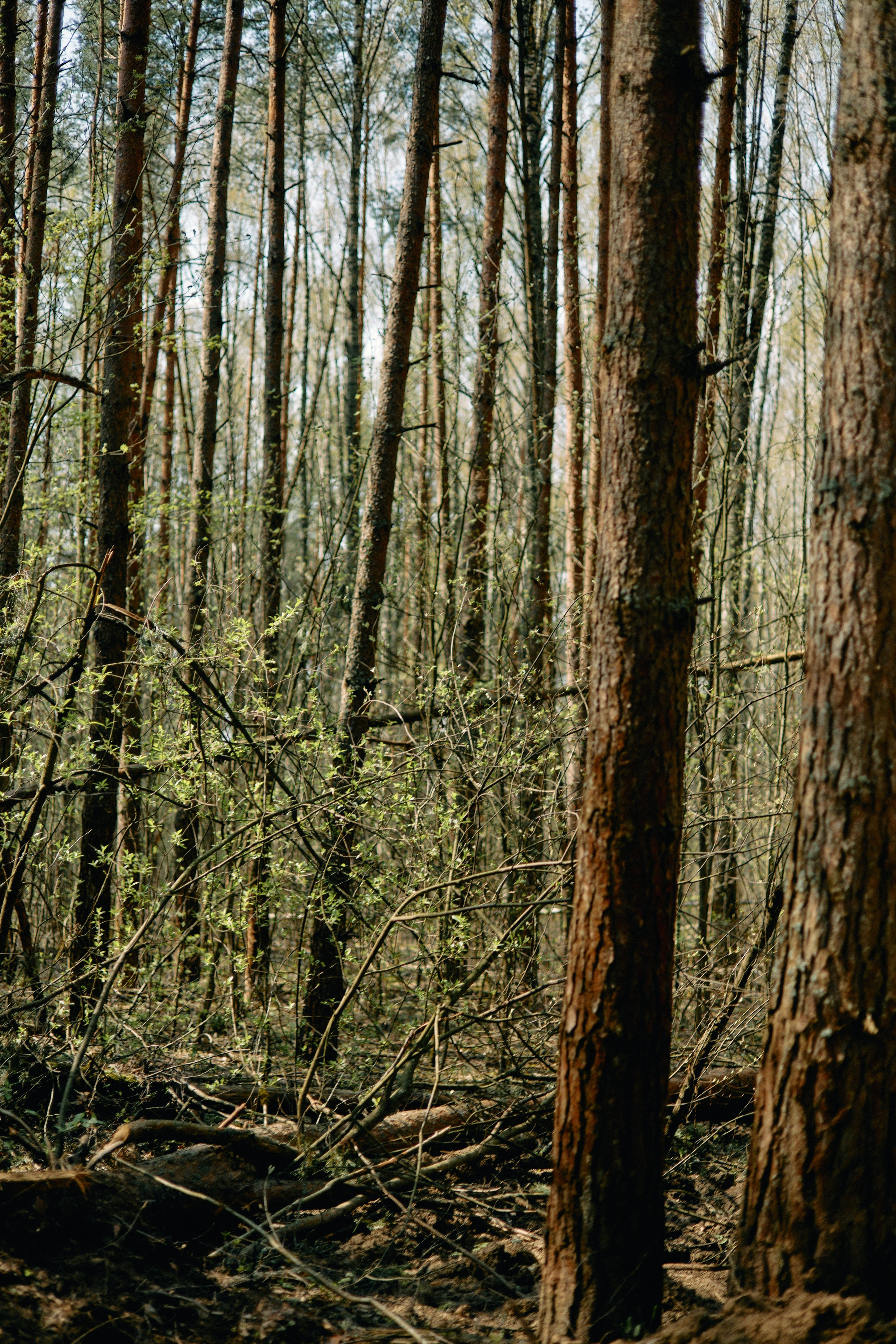 Бутик-отель Поле летом. Профессиональный Фотограф во Владимире, в Москве и в Суздале — Полина Романычева