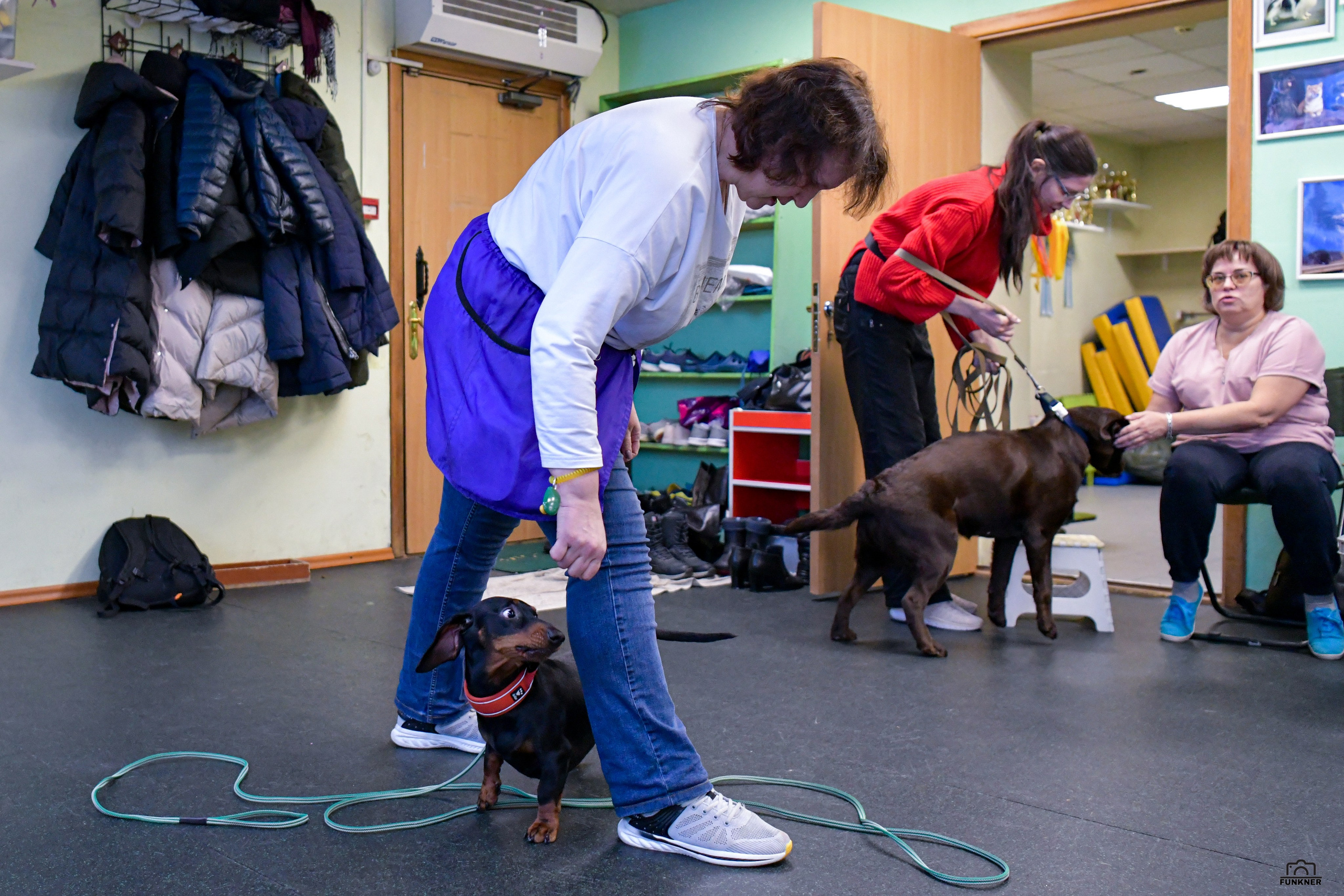Кинологический клуб «Бодрый хвост». Свой взгляд через объектив