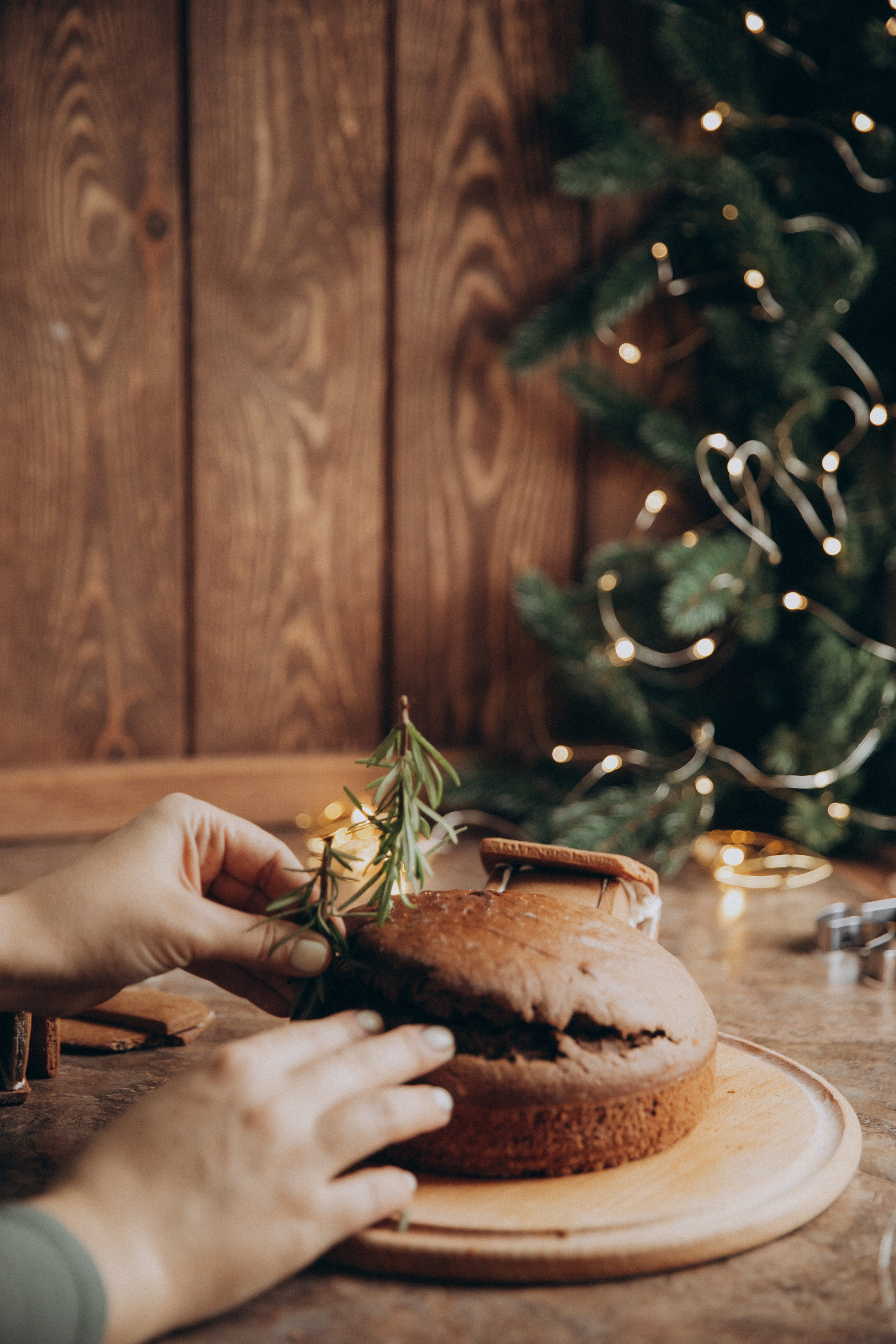 НГ. Свадебный и семейный фотограф Василина Батищева в Моздоке, Северной Осетии и КМВ
