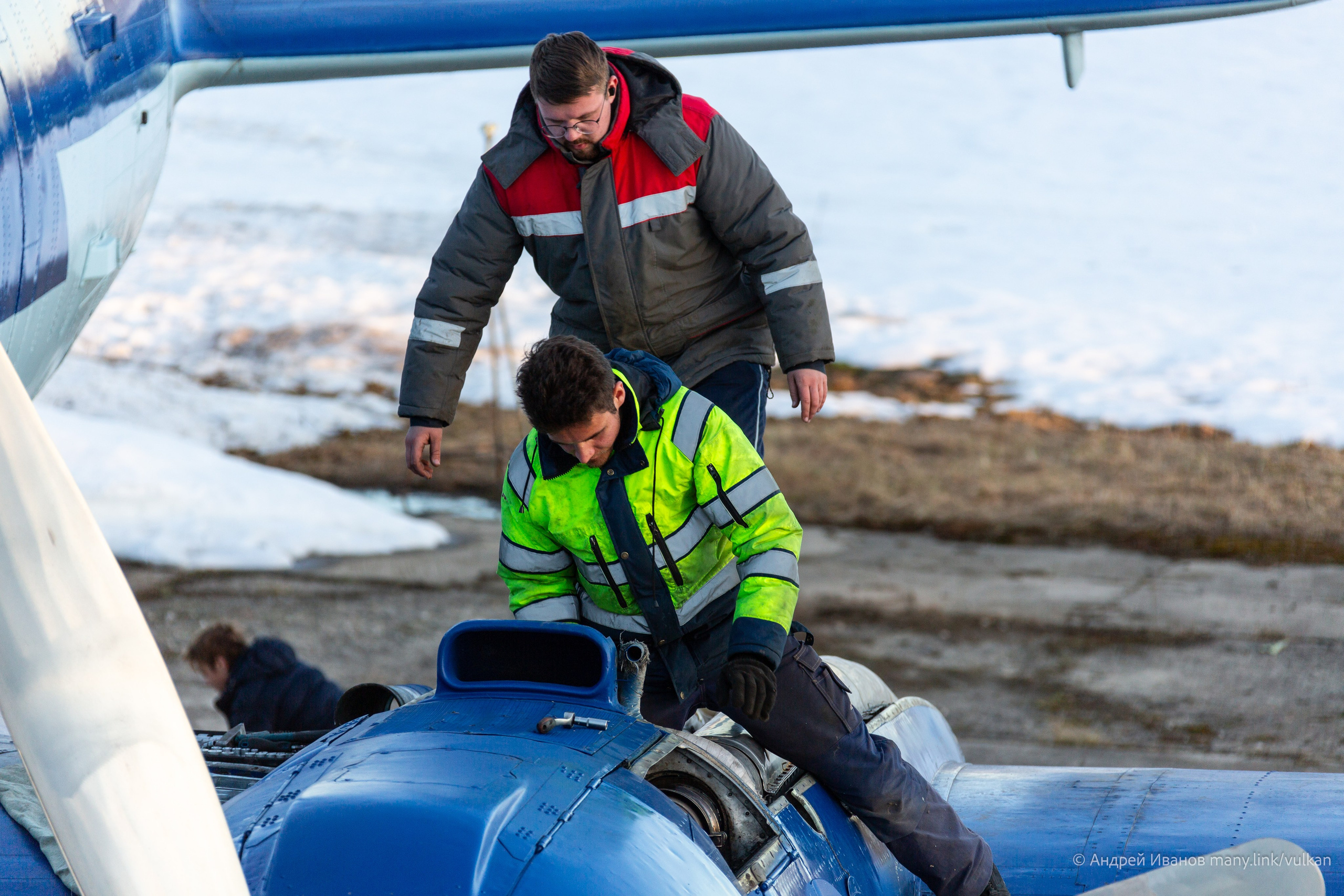 Ил-14Т «Голубая Мечта» (2026 г.). Фотоальбом показывающий увлекательный мир авиации и мир медведей Андрея Иванова