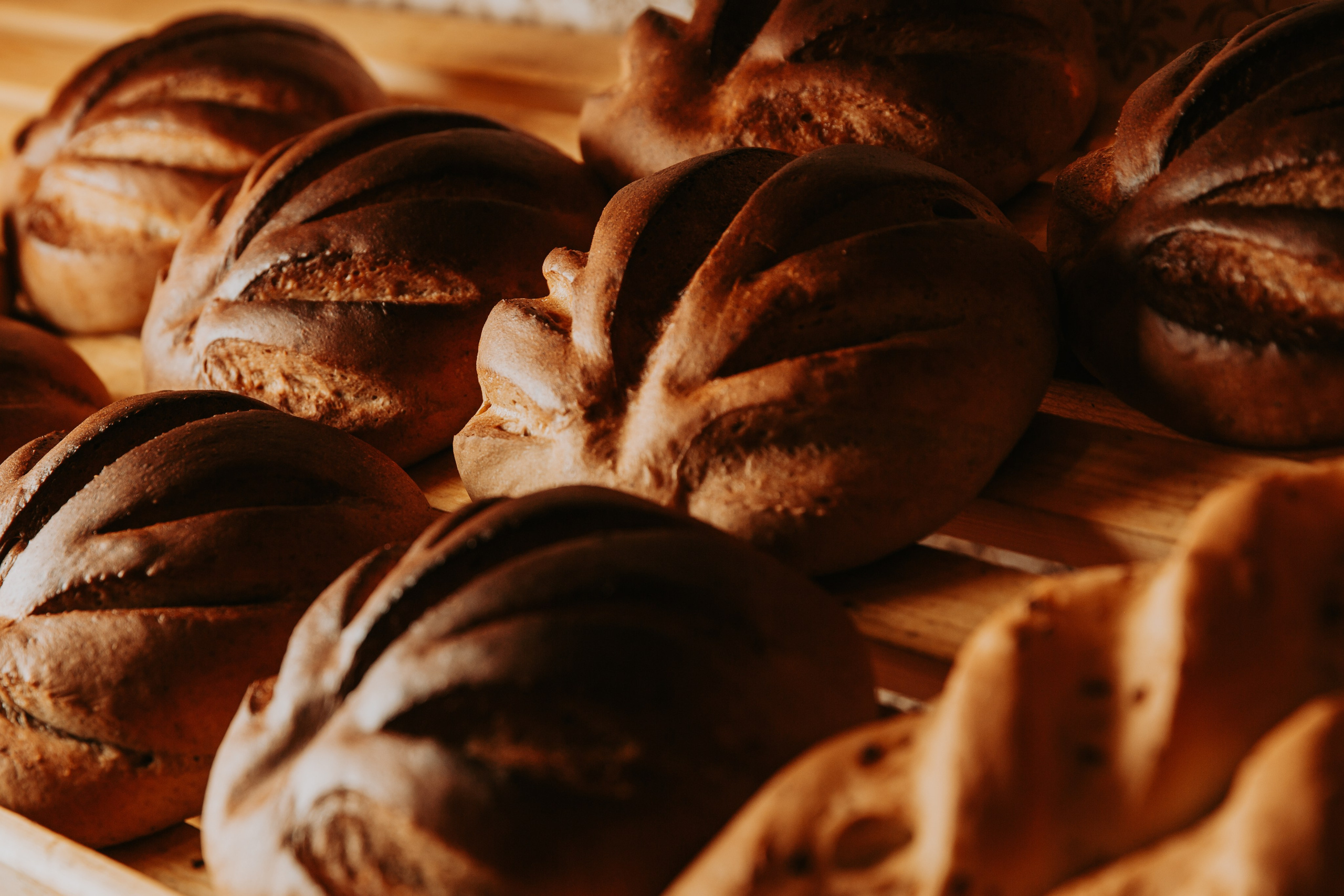 Пекарня Семейная. Свадебный и репортажный фотограф в Ярославле Евгений Шовдин