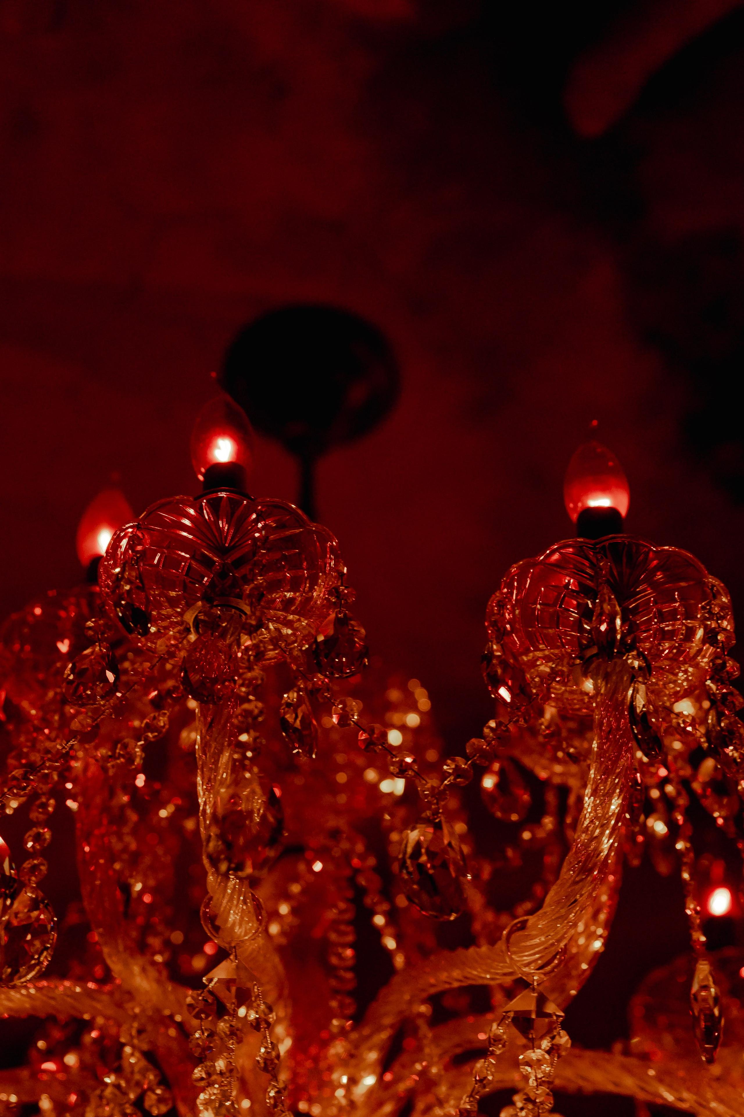 BURLESQUE BY COMMUNITY. Свадебный и контент фотограф в Москве — Юлия Барно (Баранова)