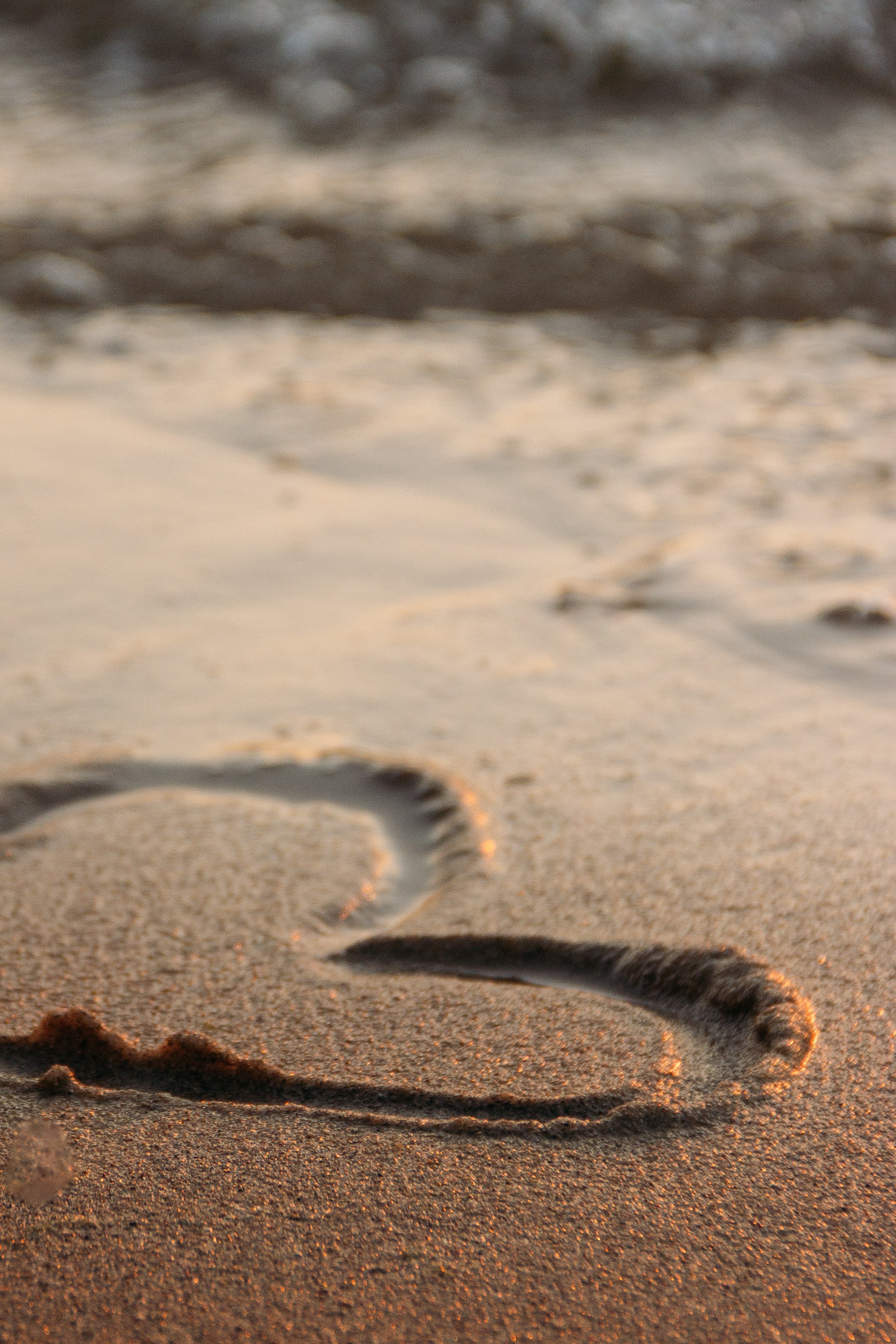 Венера & Данил. Свадебный и лайфстайл фотограф в Челябинске и Миассе