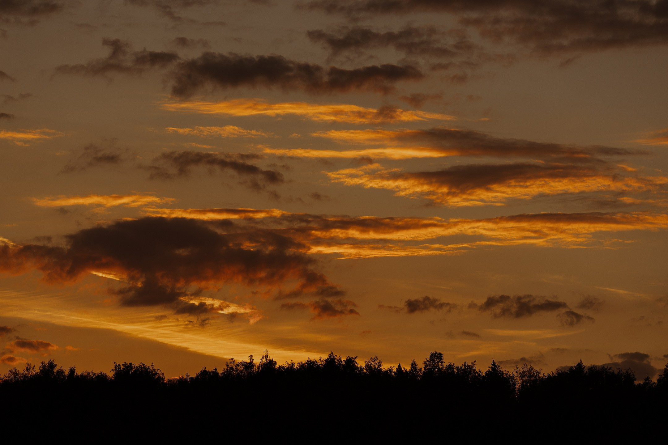 Кирилл и Анастасия. Свадебный фотограф Ярославль Дмитрий Васячкин