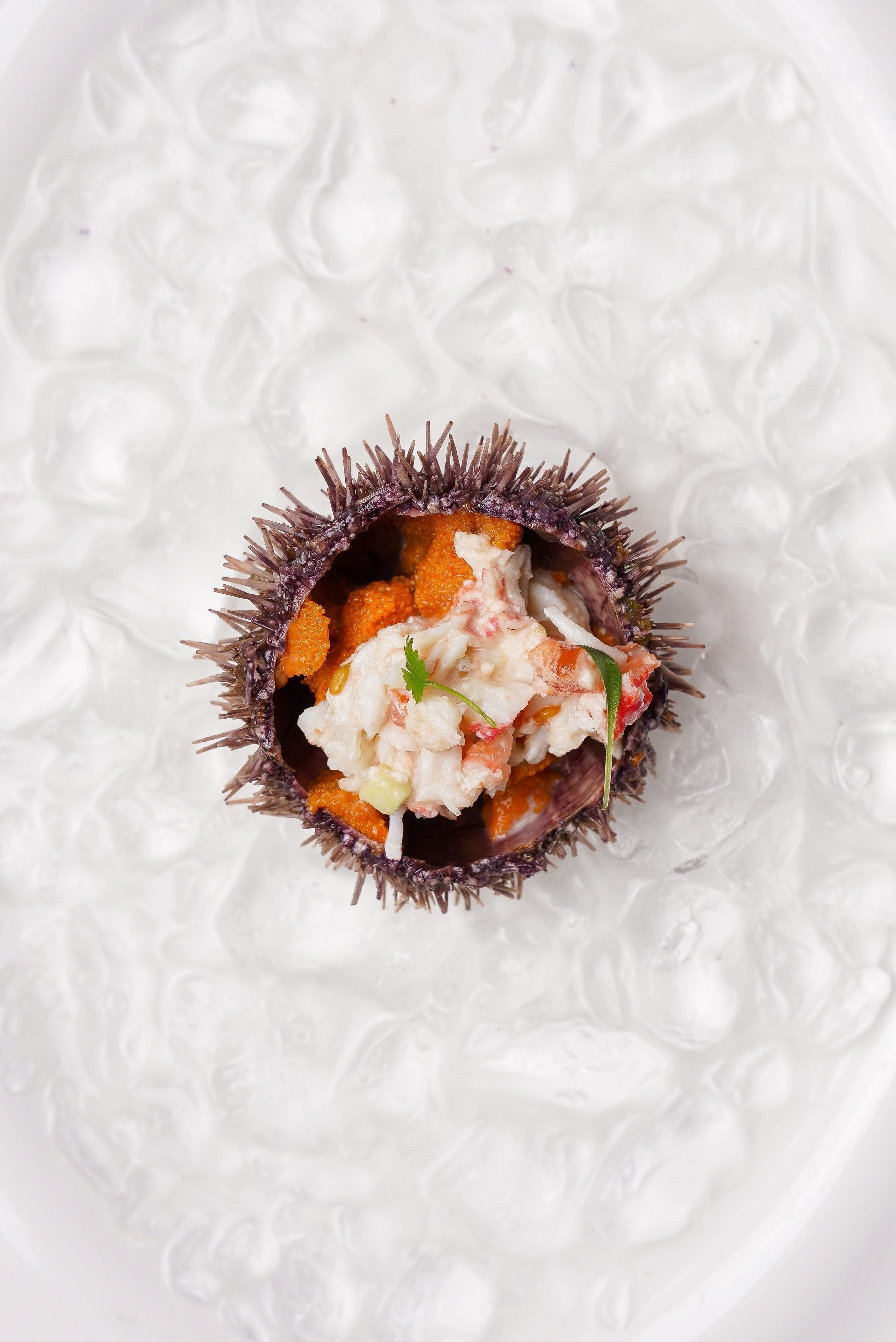 Moreca sea food. Контент-фотограф Калининград АНАСТАСИЯ ТКАЧЕВА