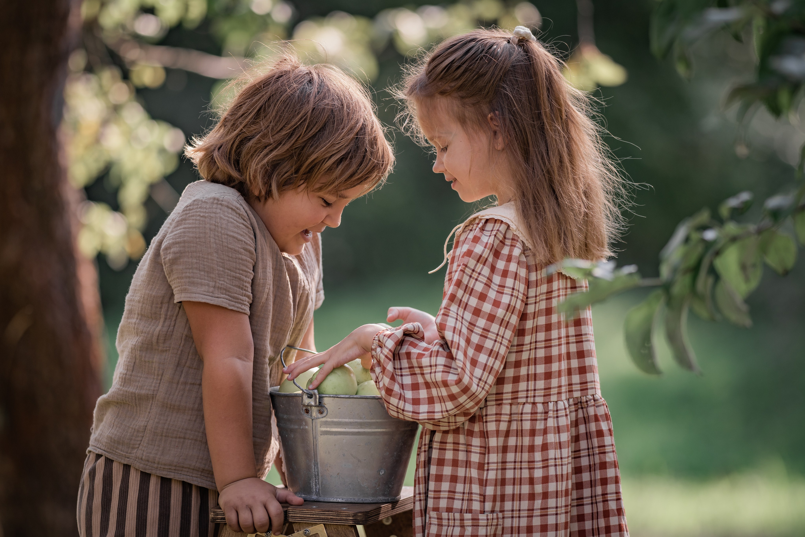 Яблочный сад. Семейный фотограф Ефремова Виктория