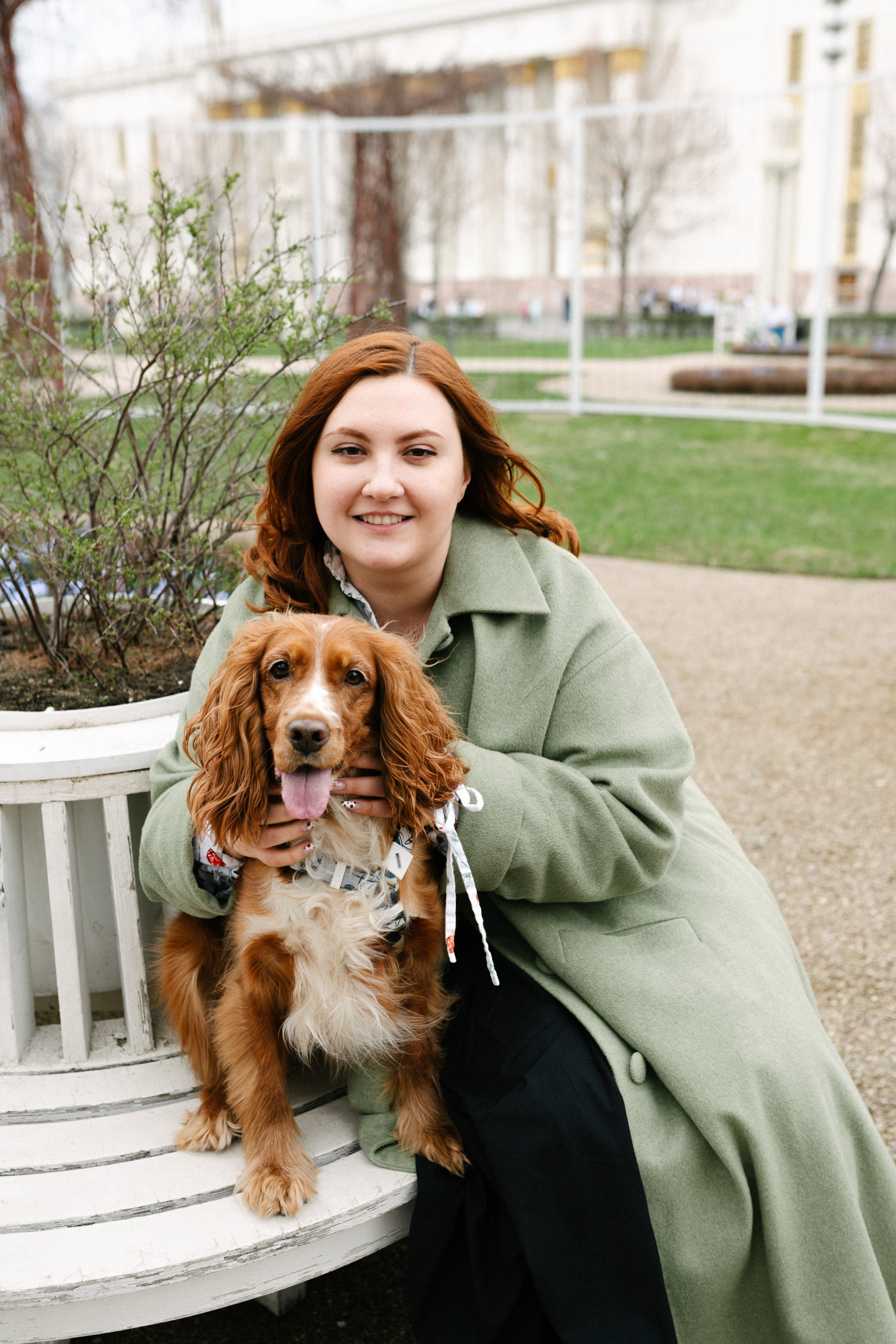 Рыжая команда. Фотограф анималист в Москве Ольга Агушева