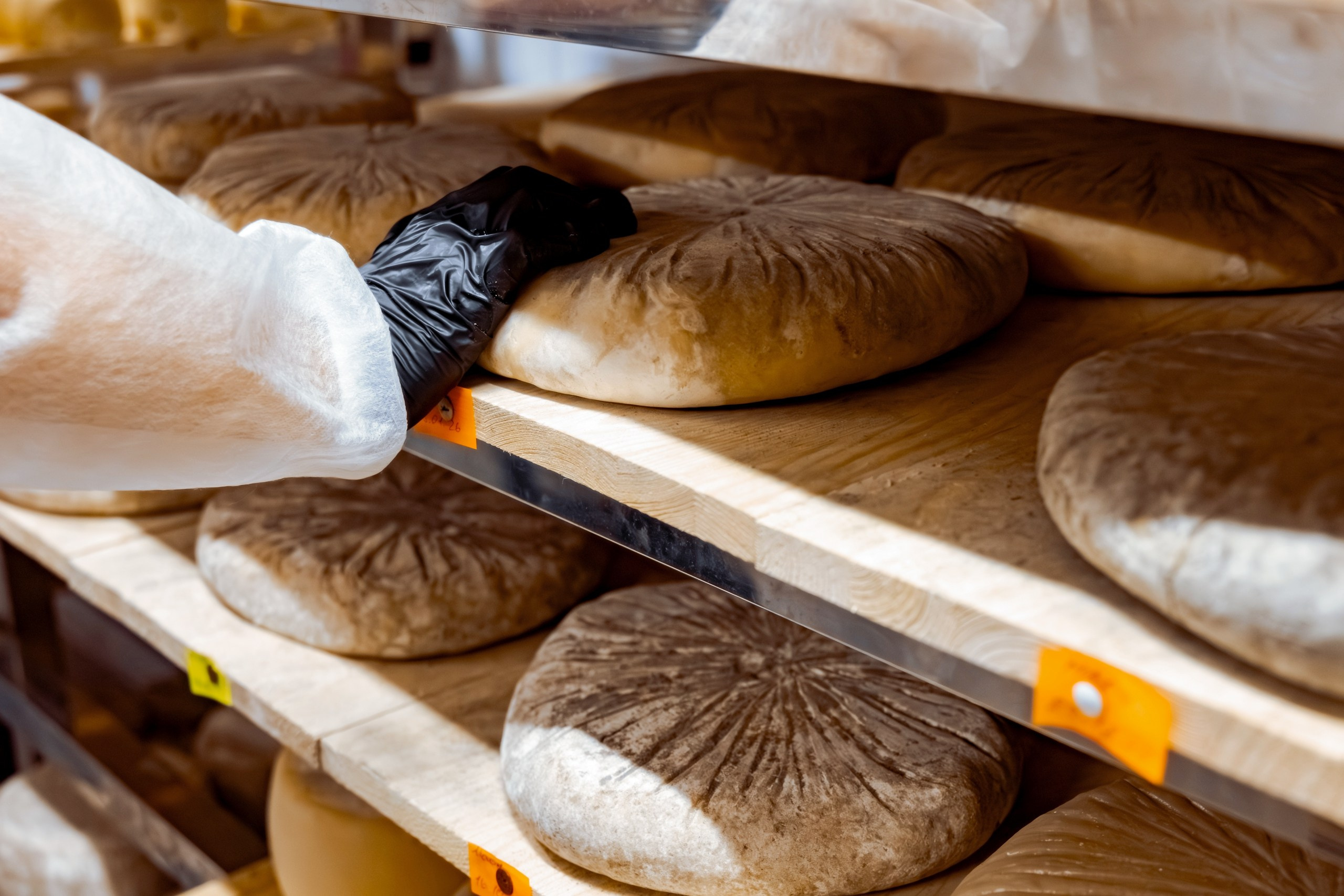 Экскурсия и дегустация. Частная сыроварня FROMAGELLE (г. Саратов). Фотограф_Петербург