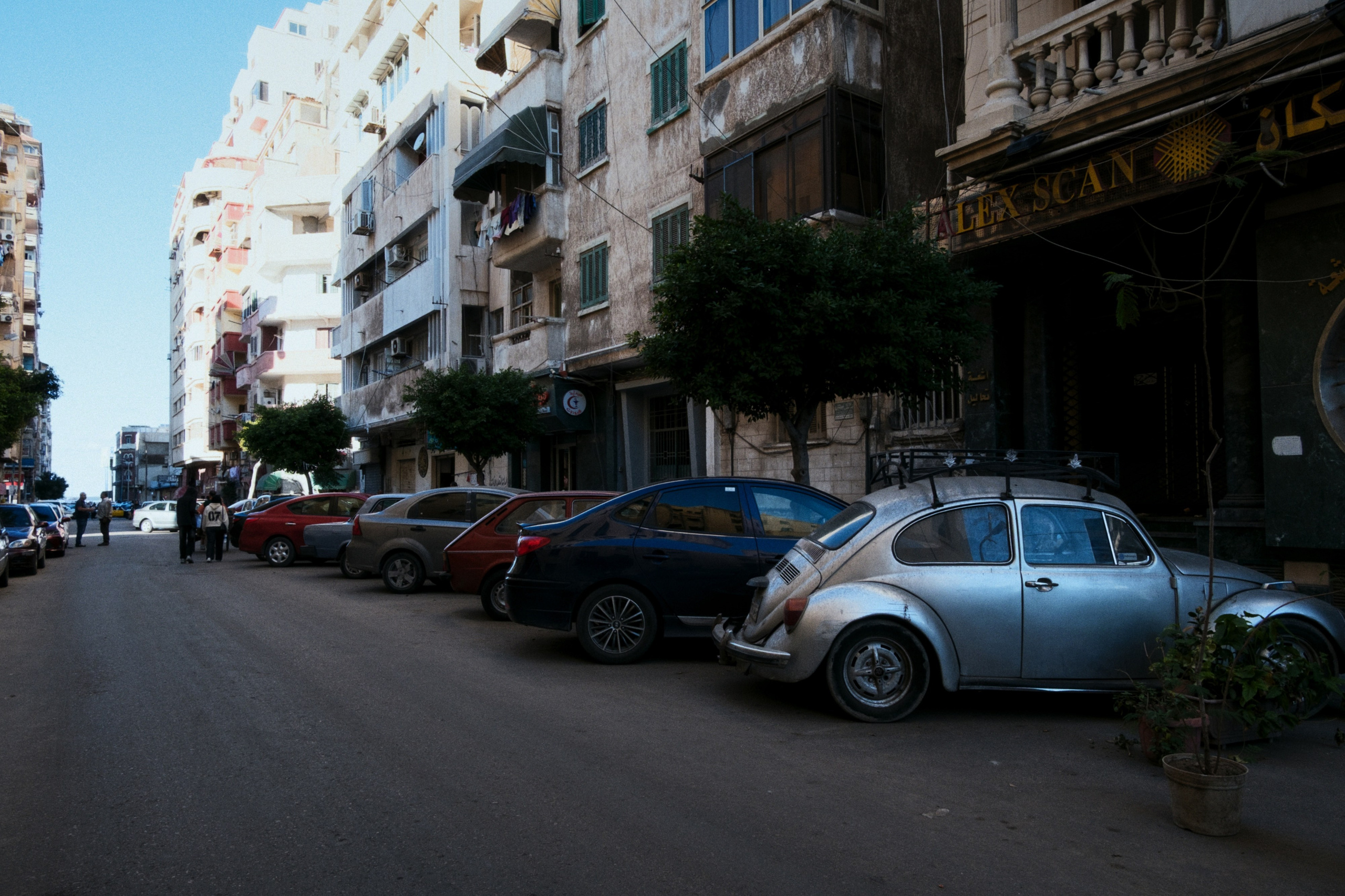 Alexandria / Egypt AW25. Фотограф Юрин Евгений