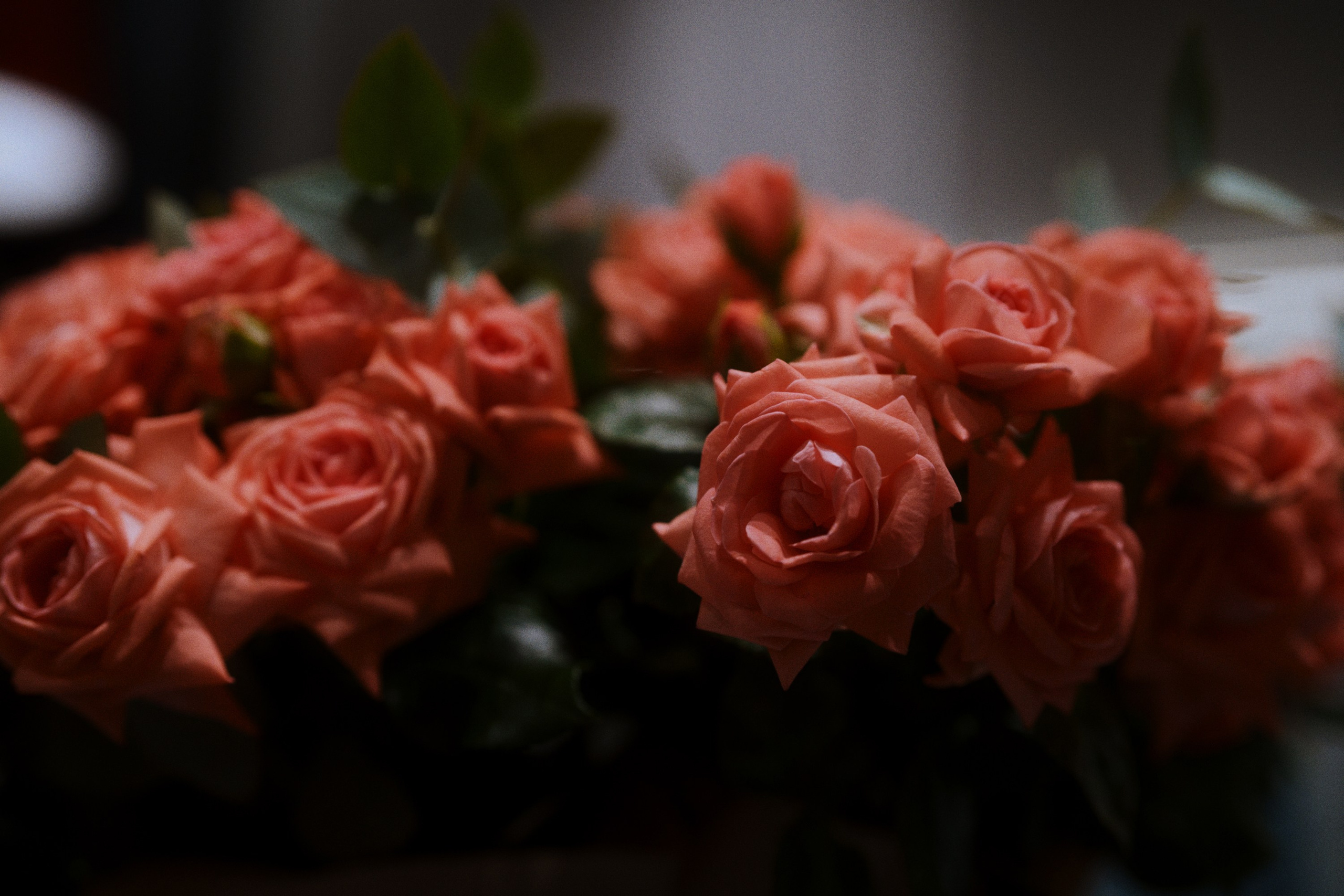 Vomi / opening (halloween). Фотограф Юрин Евгений