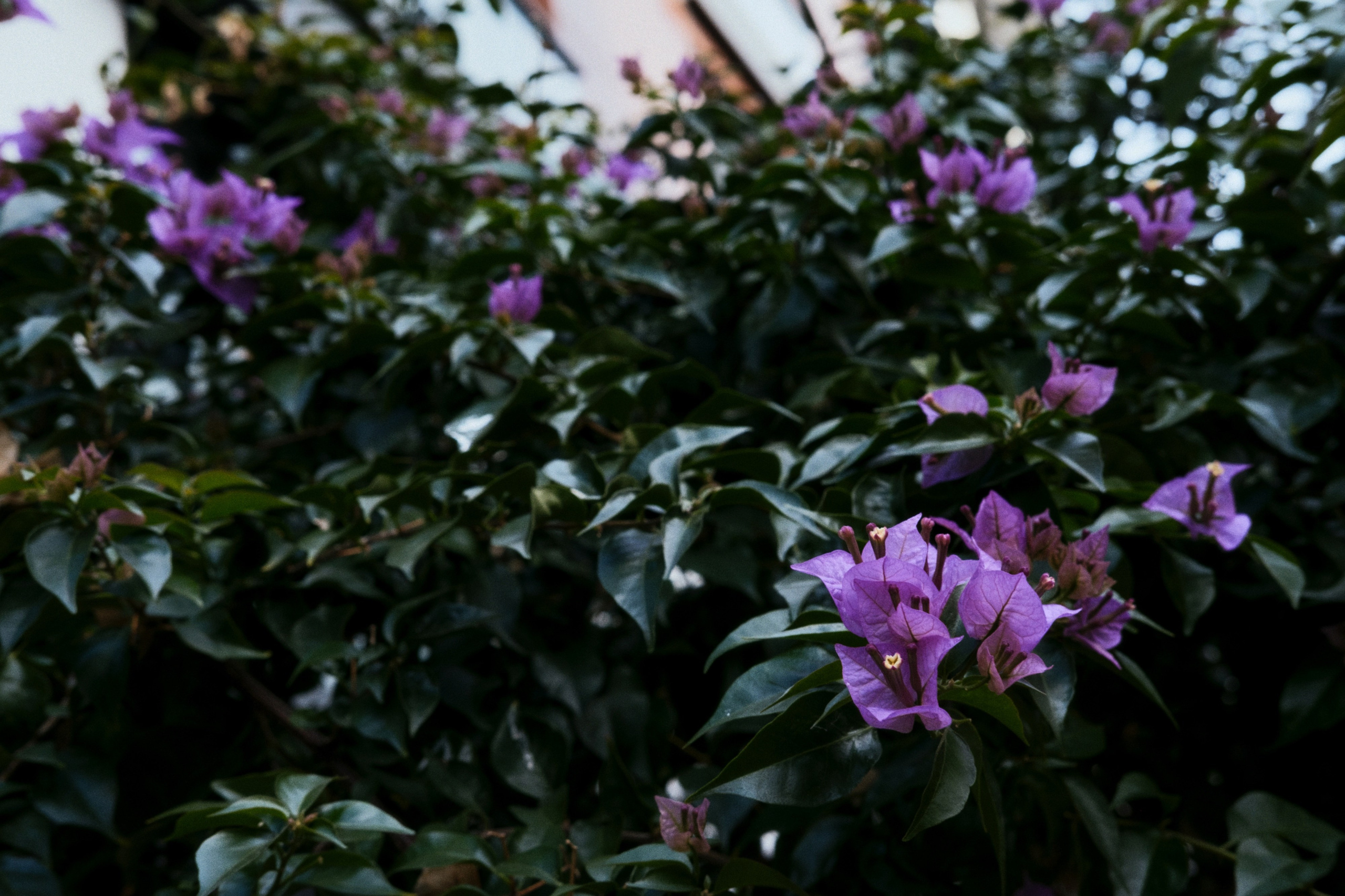 Kadikoy x Moda, Istanbul / Türkey AW25. Фотограф Юрин Евгений