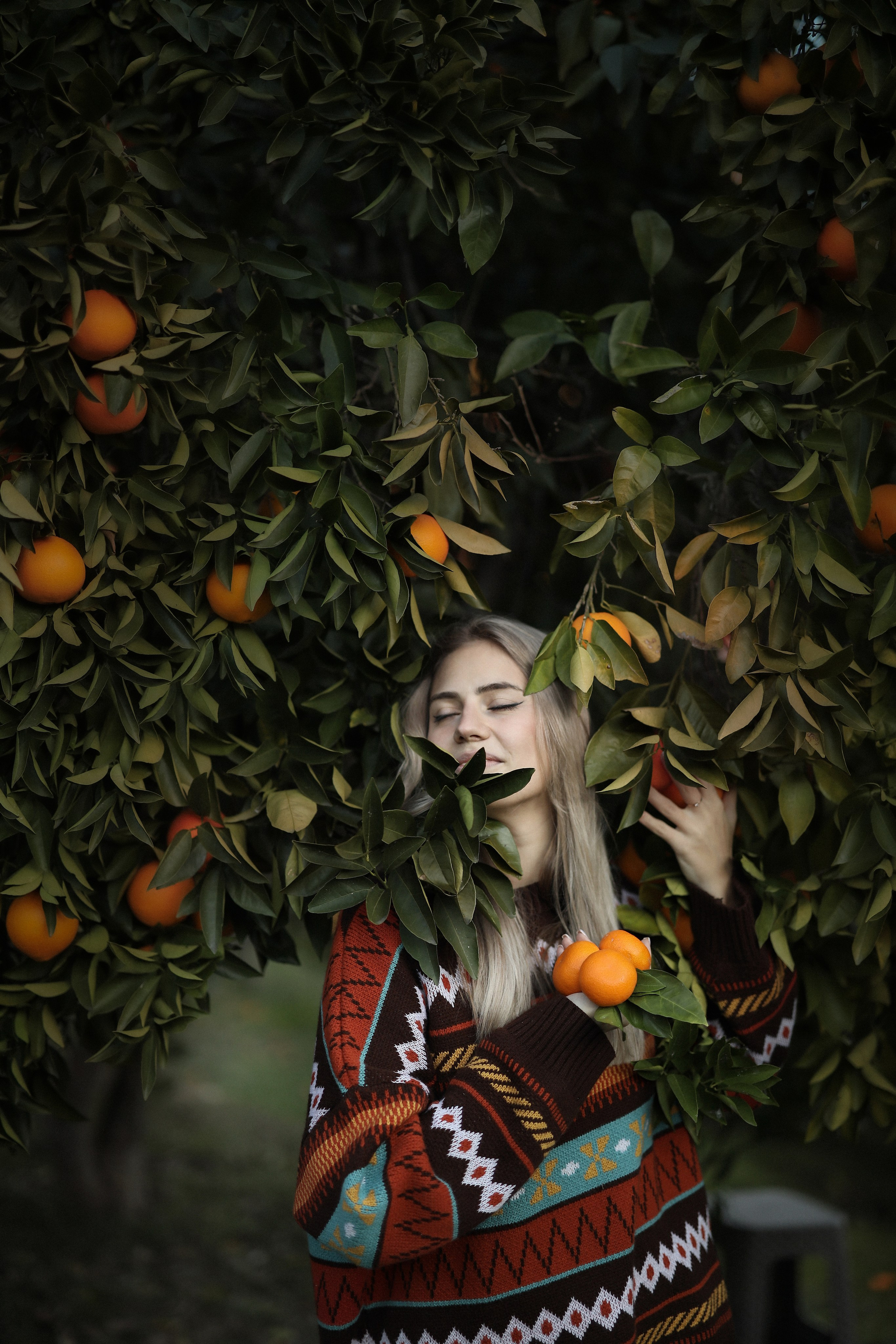 Фотосессия в мандариновом саду в Новом Афоне, Абхазия. Свадебный и семейный фотограф в Абхазии Жанна Соснина