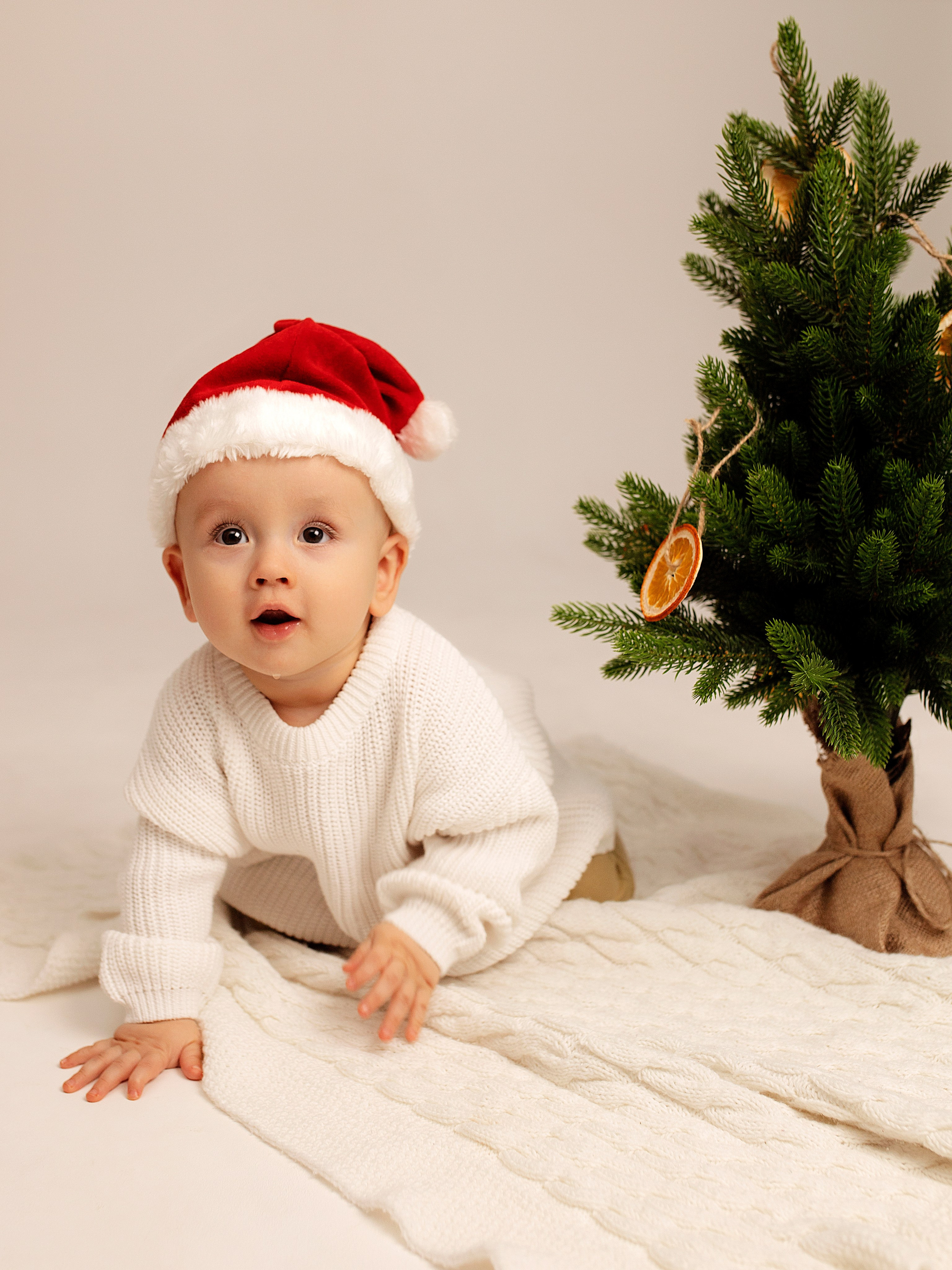 Новогодняя открытка. Фотограф