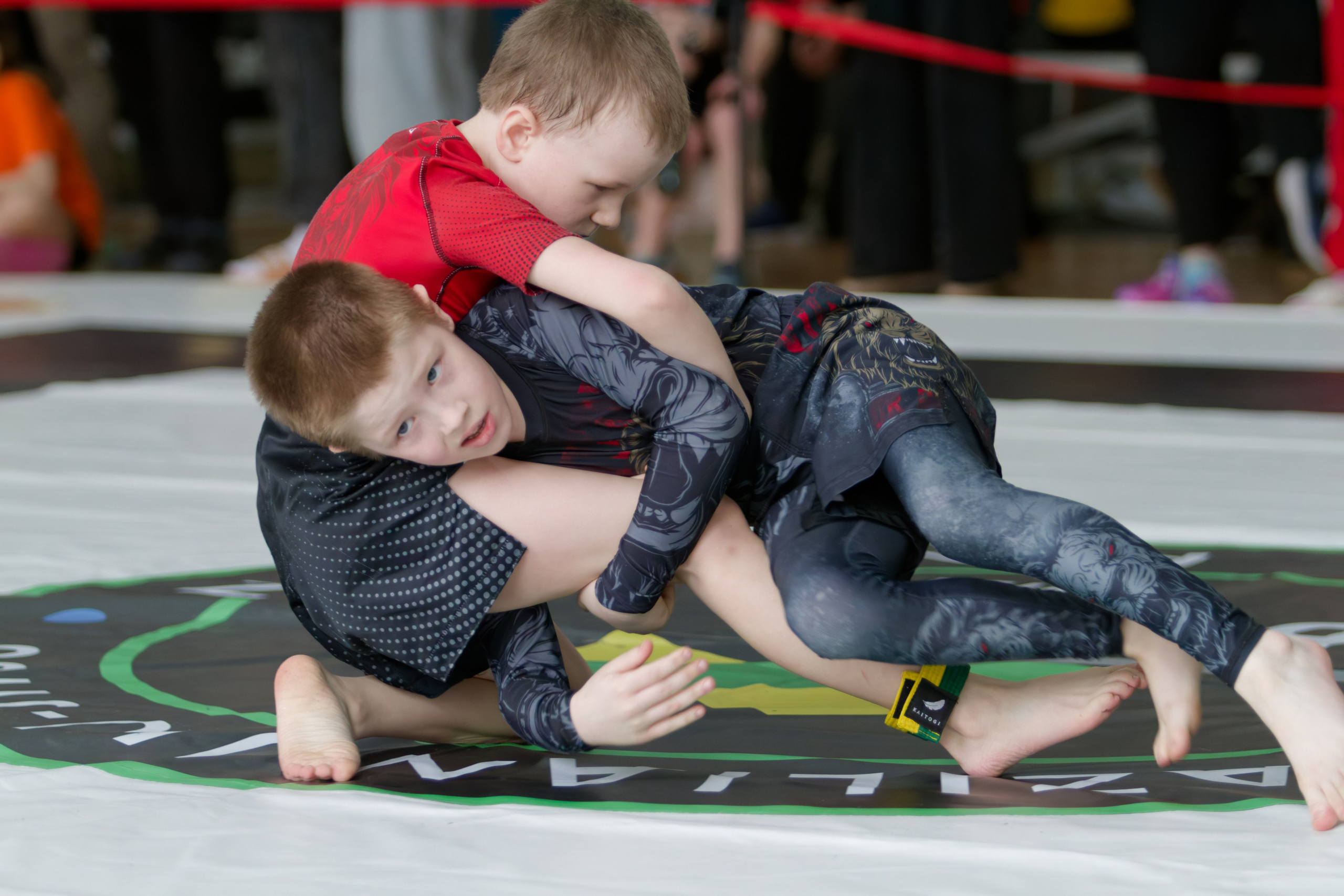 Борьба. Джиу-джитсу 26.04.2025. Репортажный и спортивный фотограф в г. Пермь Зильберг Павел