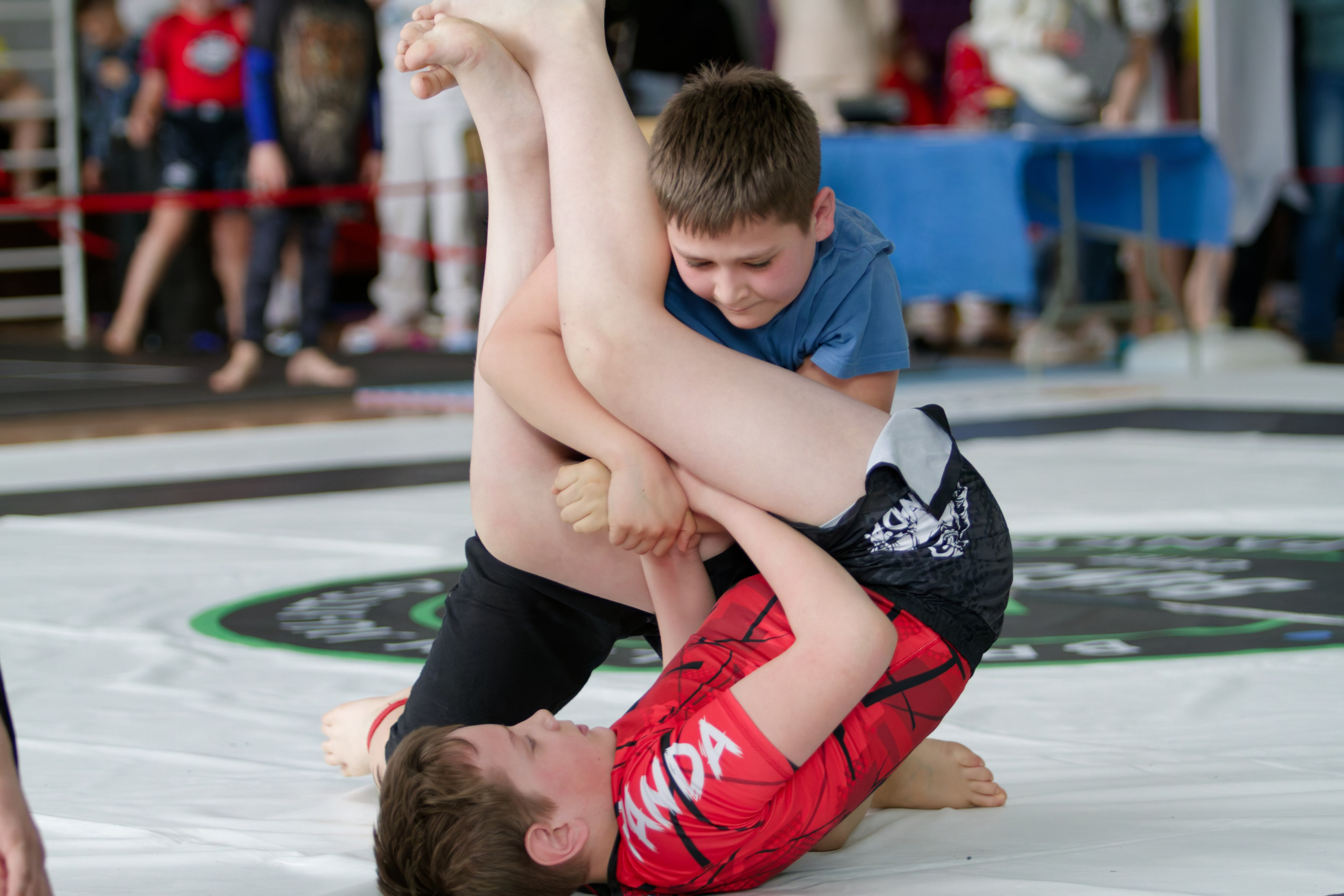 Борьба. Джиу-джитсу 26.04.2025. Репортажный и спортивный фотограф в г. Пермь Зильберг Павел