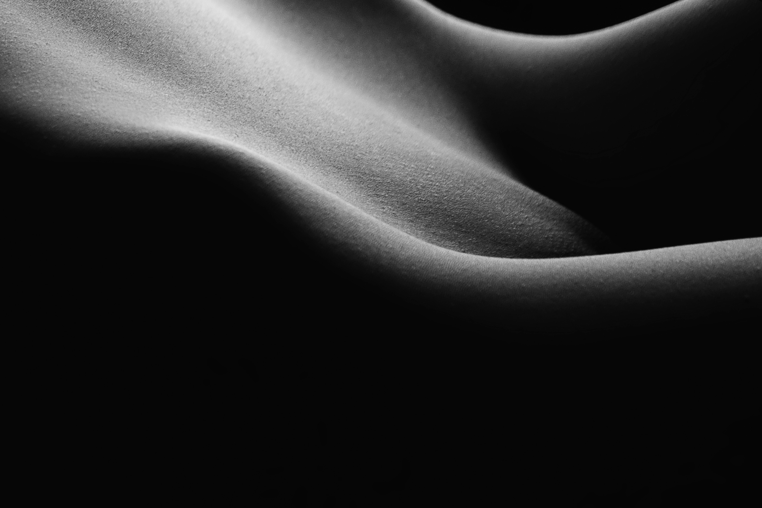 Скульптурное и силуэтное ню: чёрно-белая эстетика. Арт фотограф в Москве Леонид Маркачев. Женский портрет, будуар, фэшн, арт-ню