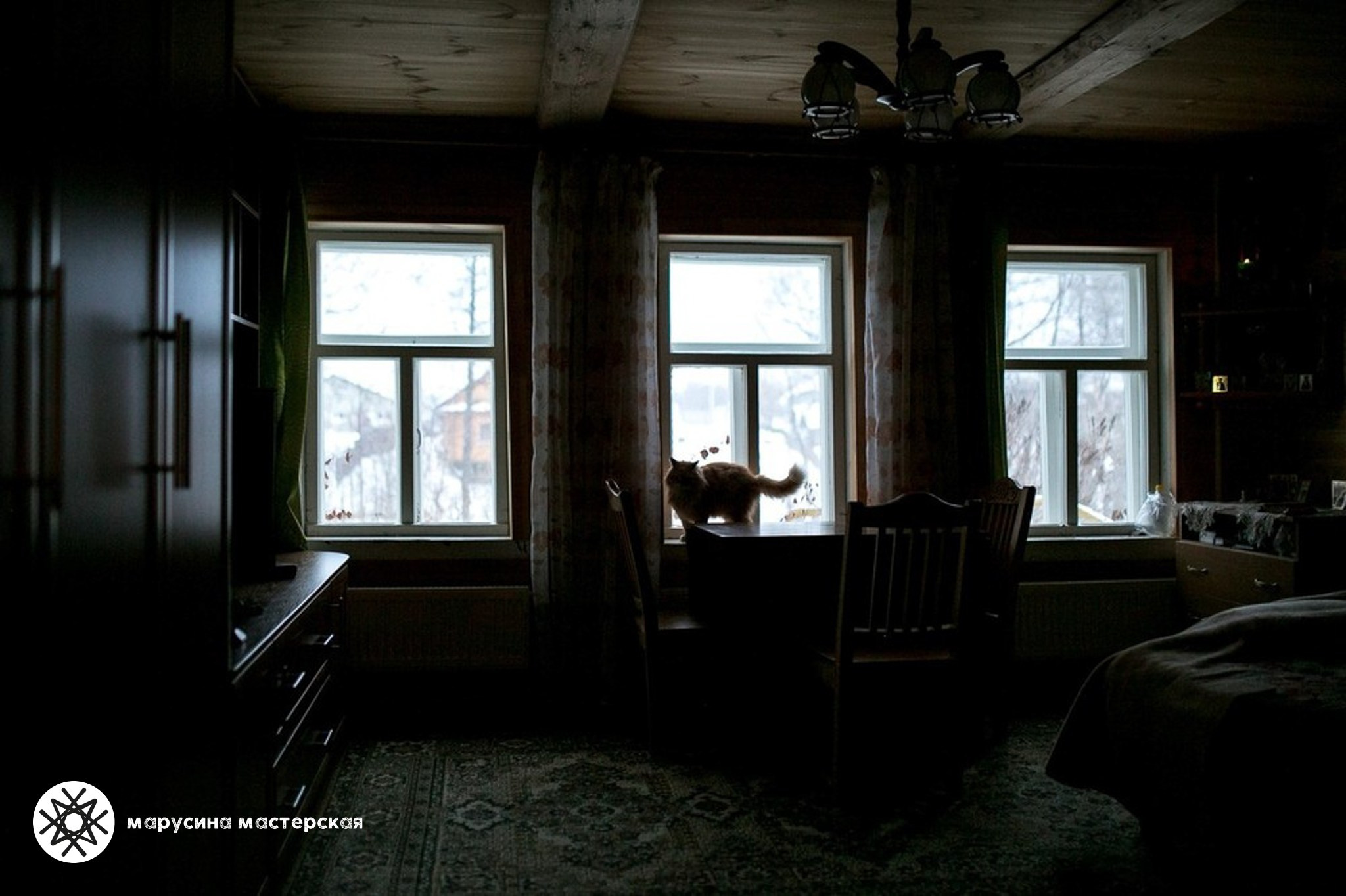 Творческая фотография, снятая в рамках зимней творческой практики, автор - Ольга Аручиди