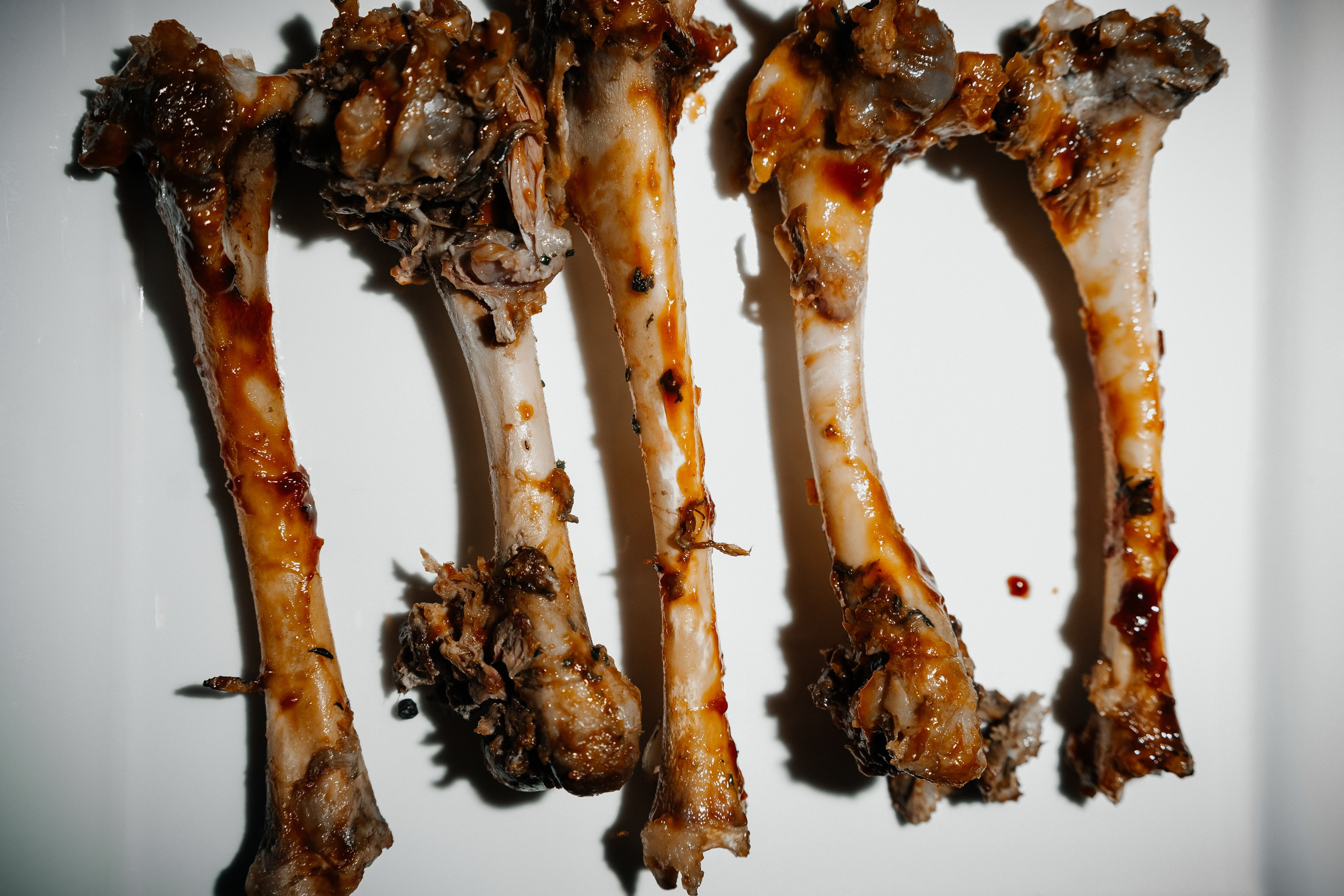 New Year 2024. Христолюбов Евгений Фотограф Москва