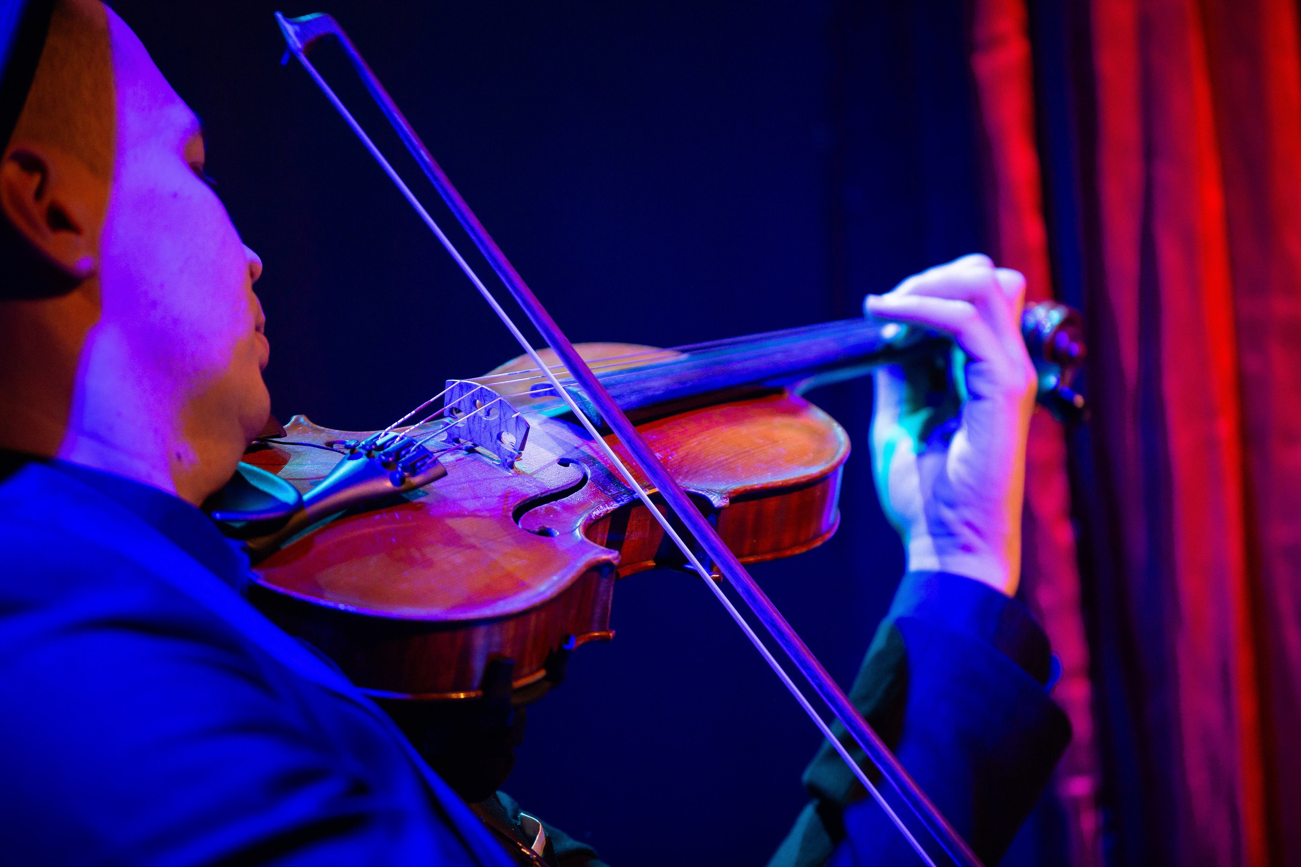 Цирковое шоу. Видеограф Добромыслов