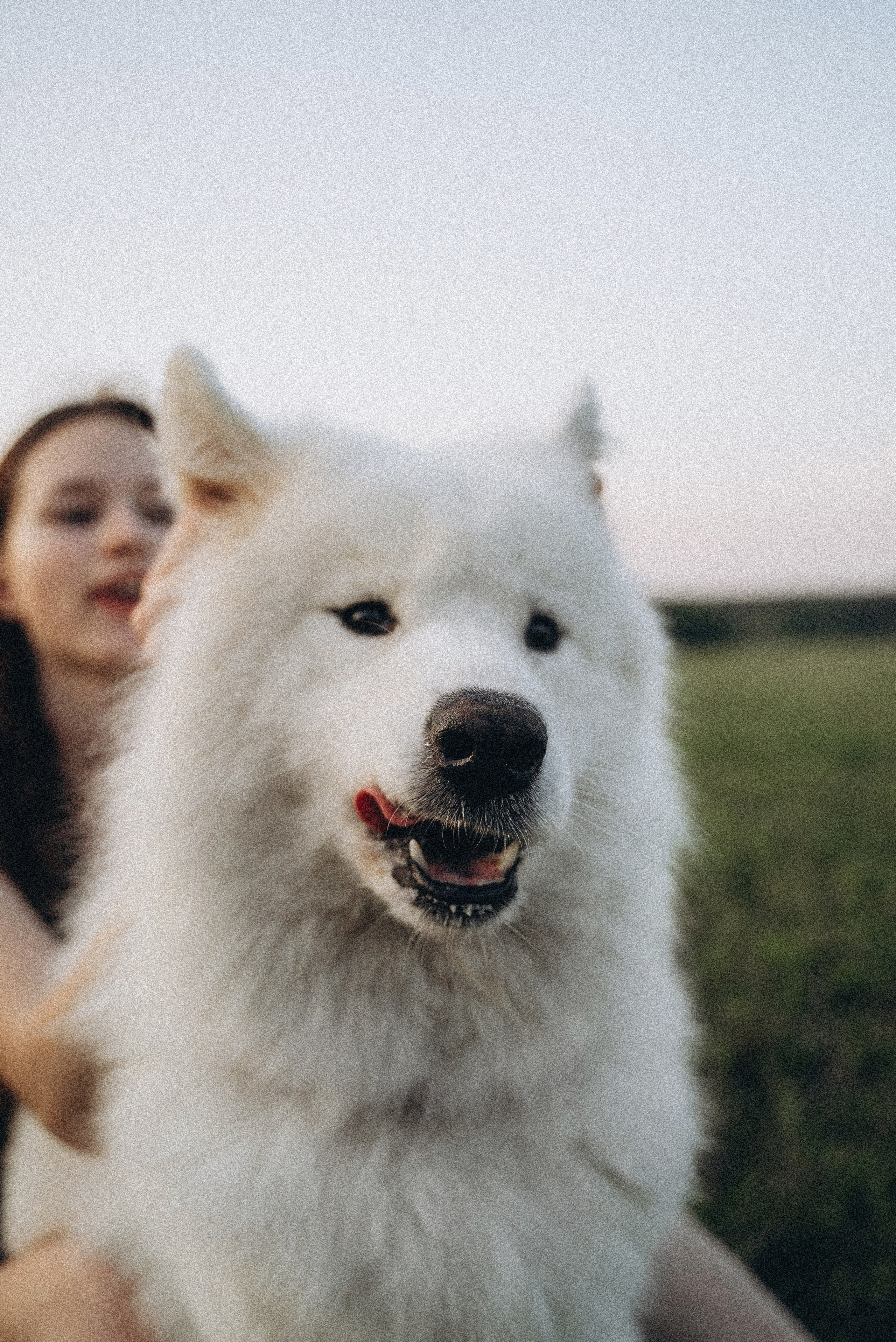 Алёна и Челси. Фотограф-анималист Богданова Полина