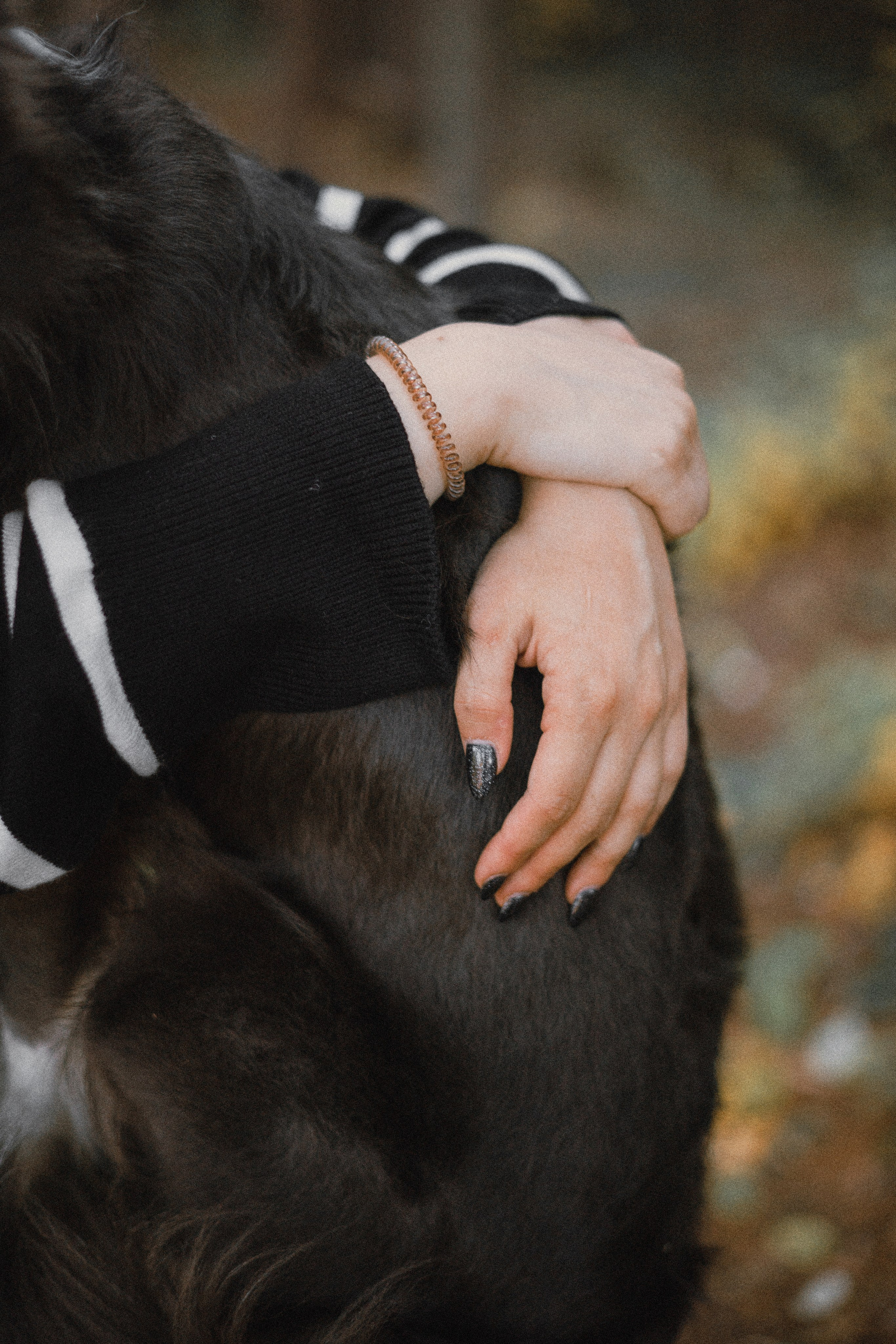 Даша и Дже. Фотограф-анималист Богданова Полина