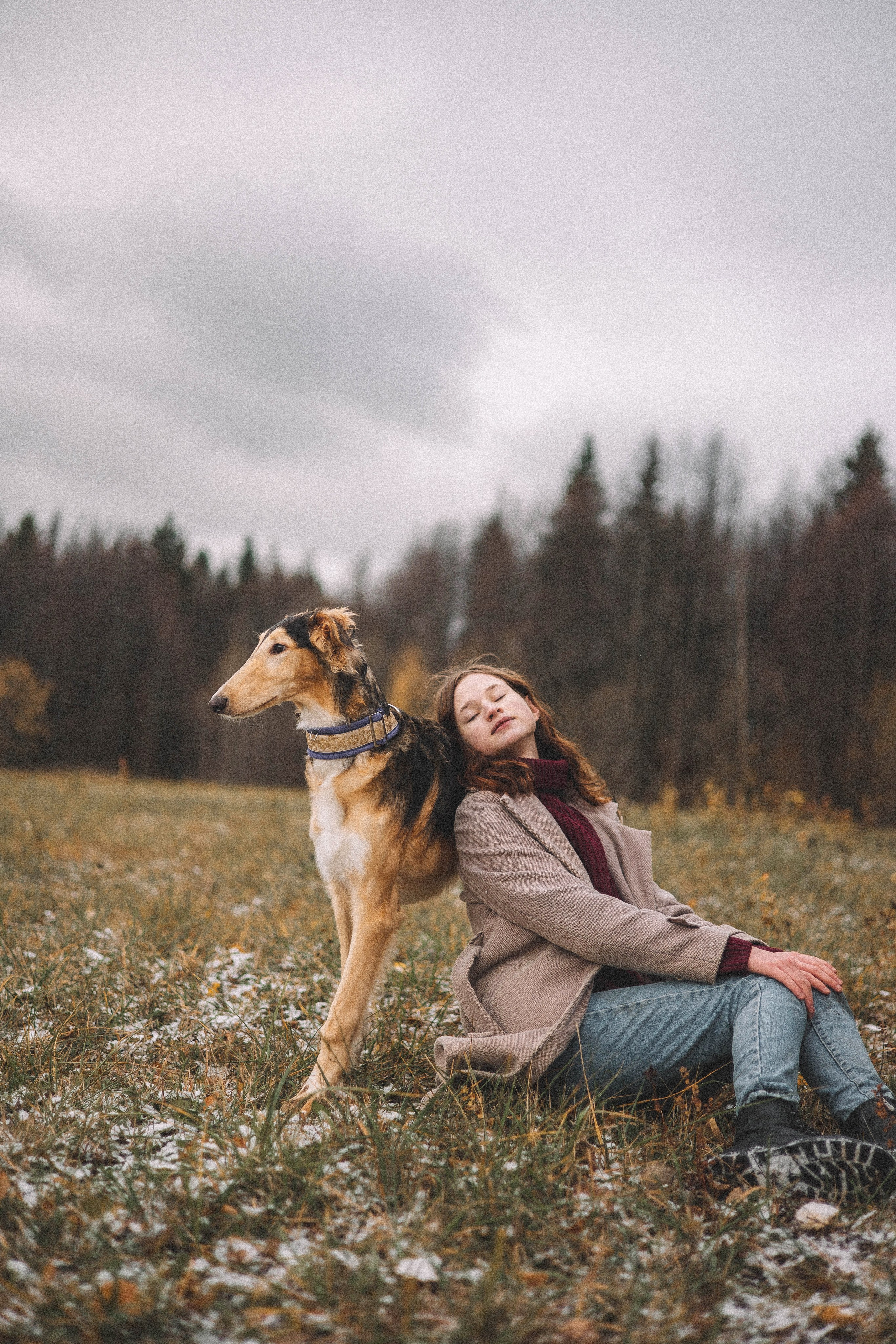 Алена, Леви и Микаса. Фотограф-анималист Богданова Полина