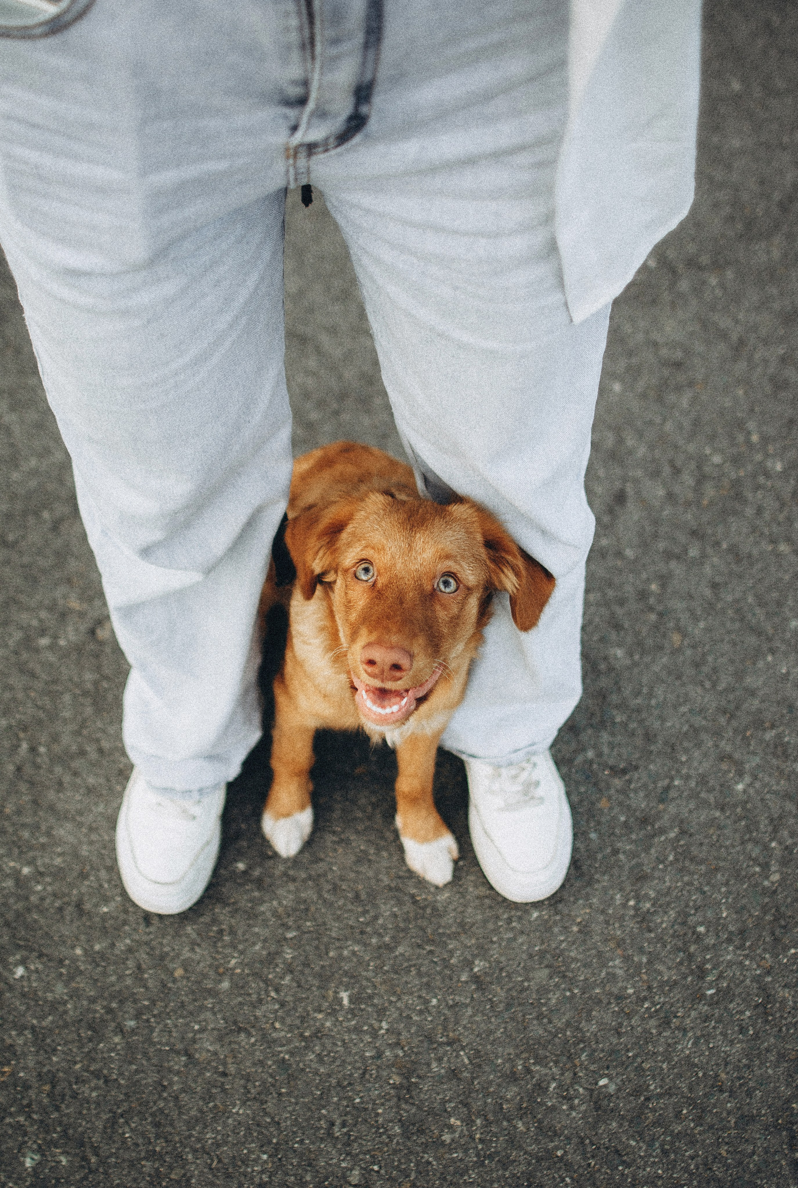 Вика и Хардин. Фотограф-анималист Богданова Полина