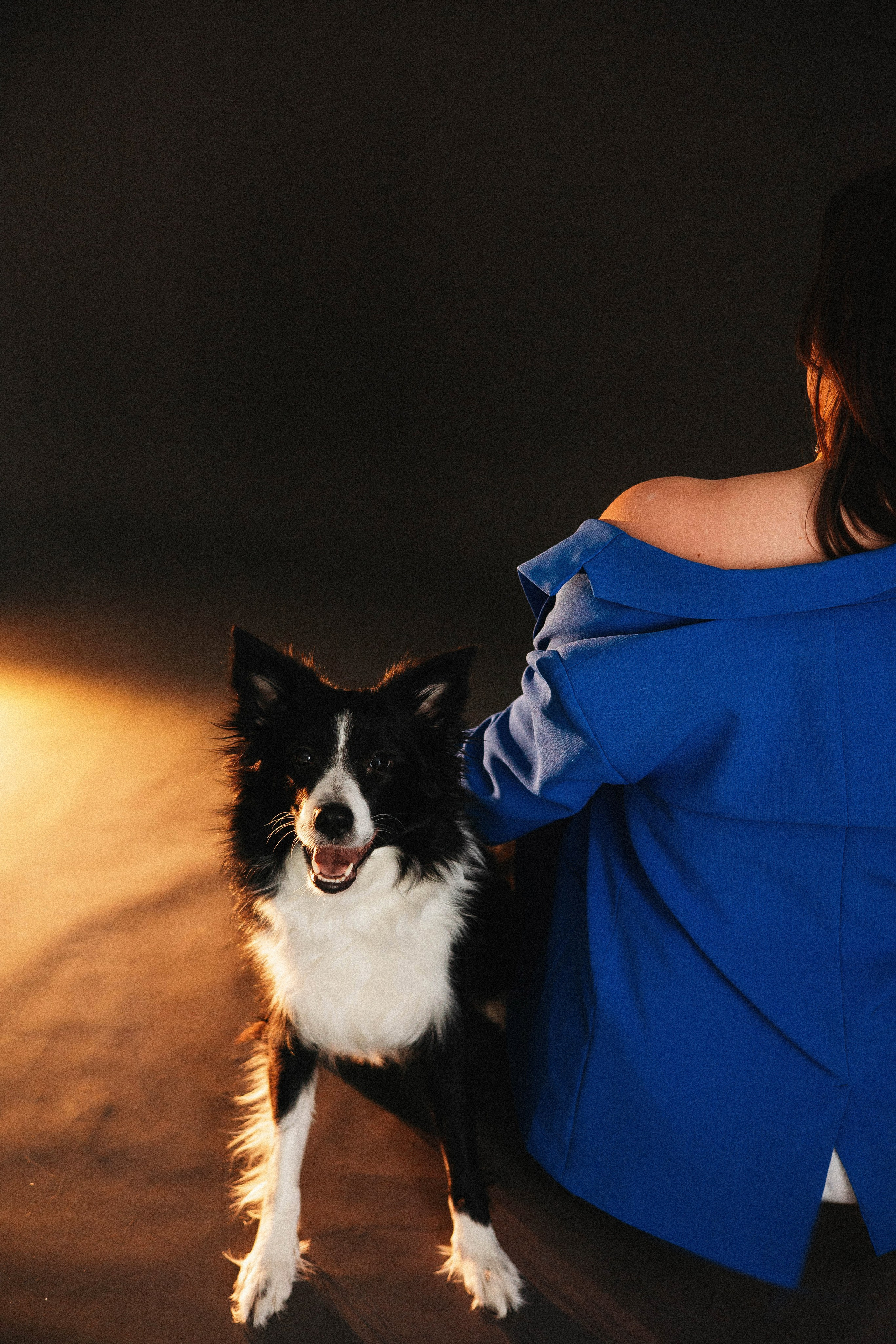 Катя и Райли. Фотограф-анималист Богданова Полина