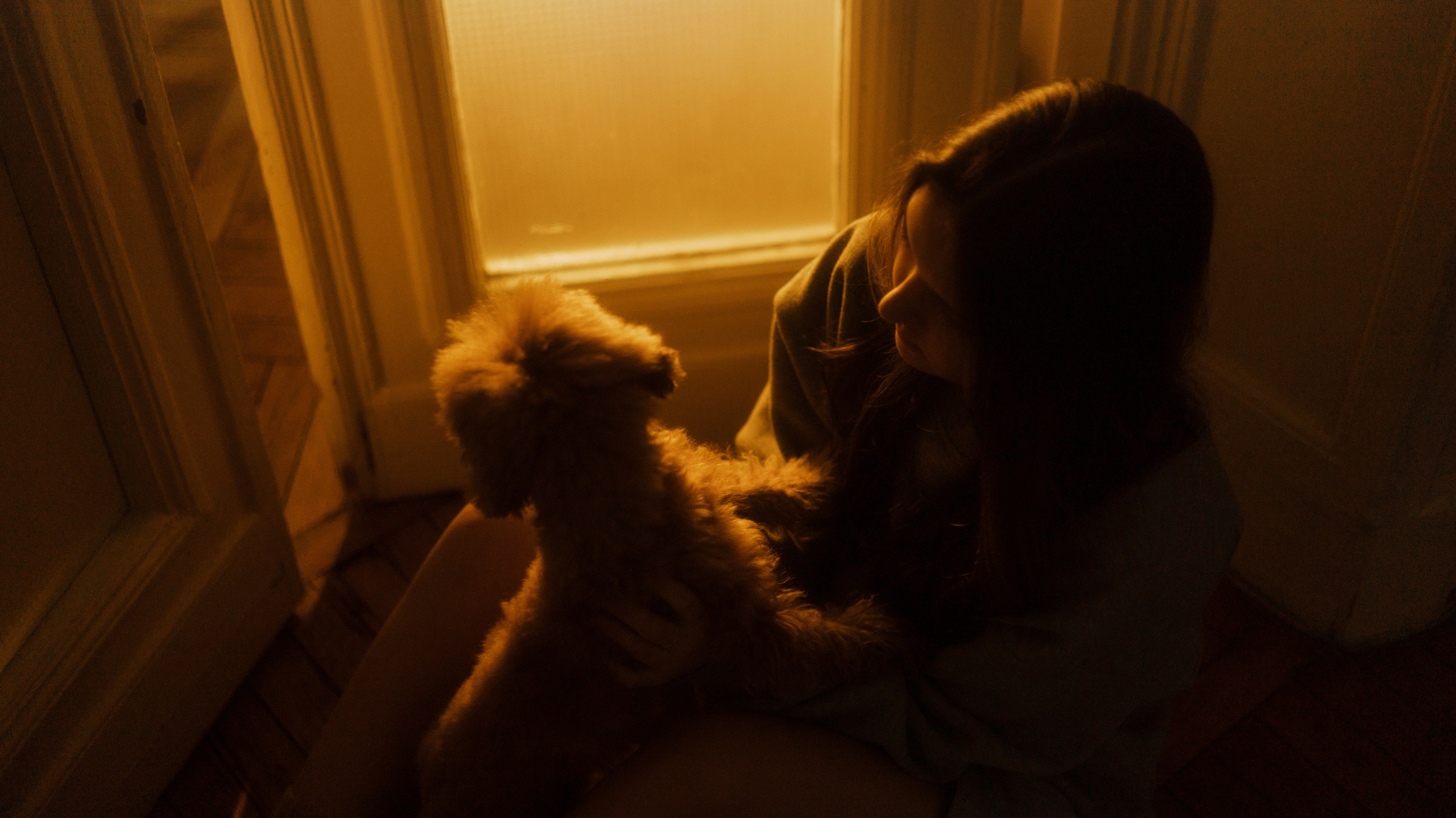 Маша, Одди и Нэвил. Фотограф-анималист Богданова Полина