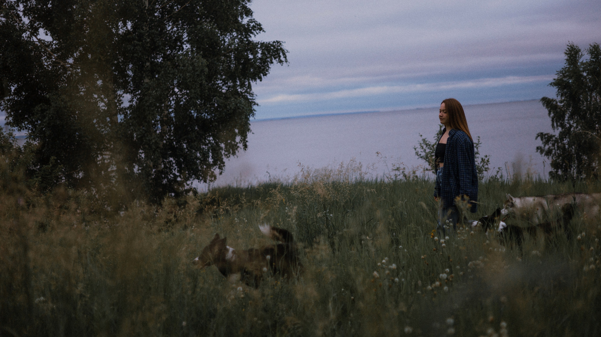 Аделя, Вандер, Шайна и Бая. Фотограф-анималист Богданова Полина