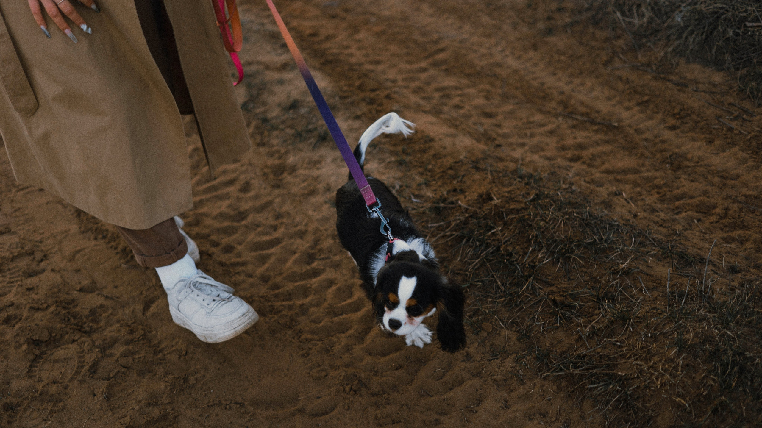 Ангелина и Йен. Фотограф-анималист Богданова Полина