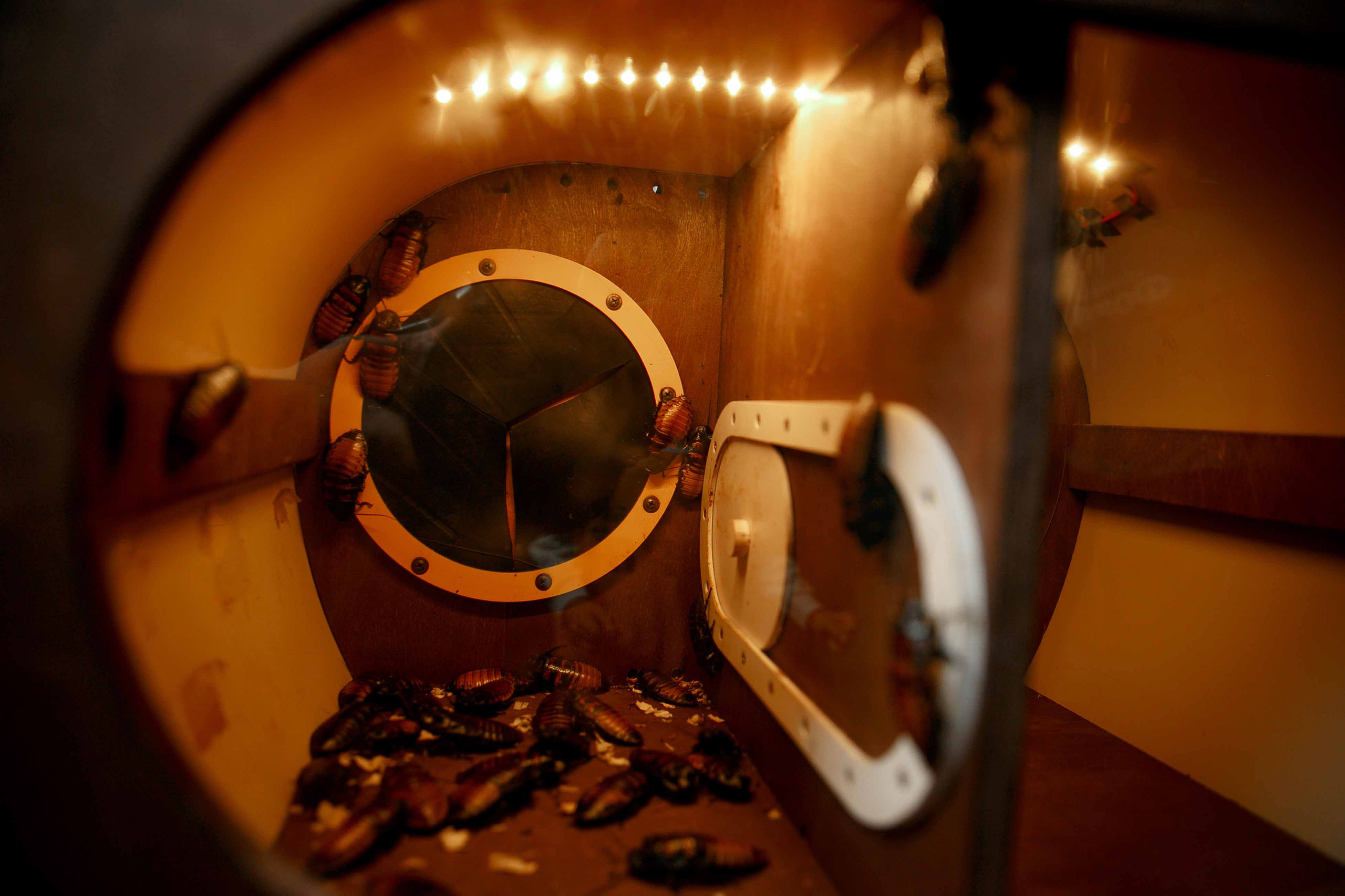 Квест «Легенды форта». Ваш репортажный фотограф Артемий Антонов