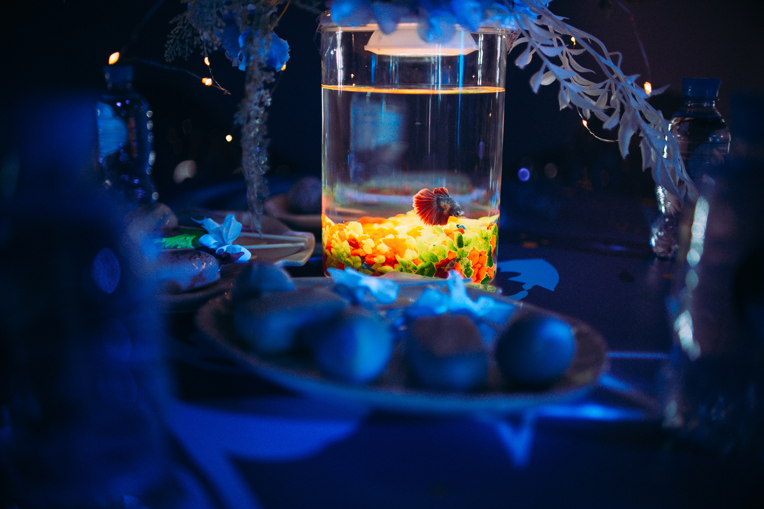 Стиль «Аватар». Ваш репортажный фотограф Артемий Антонов