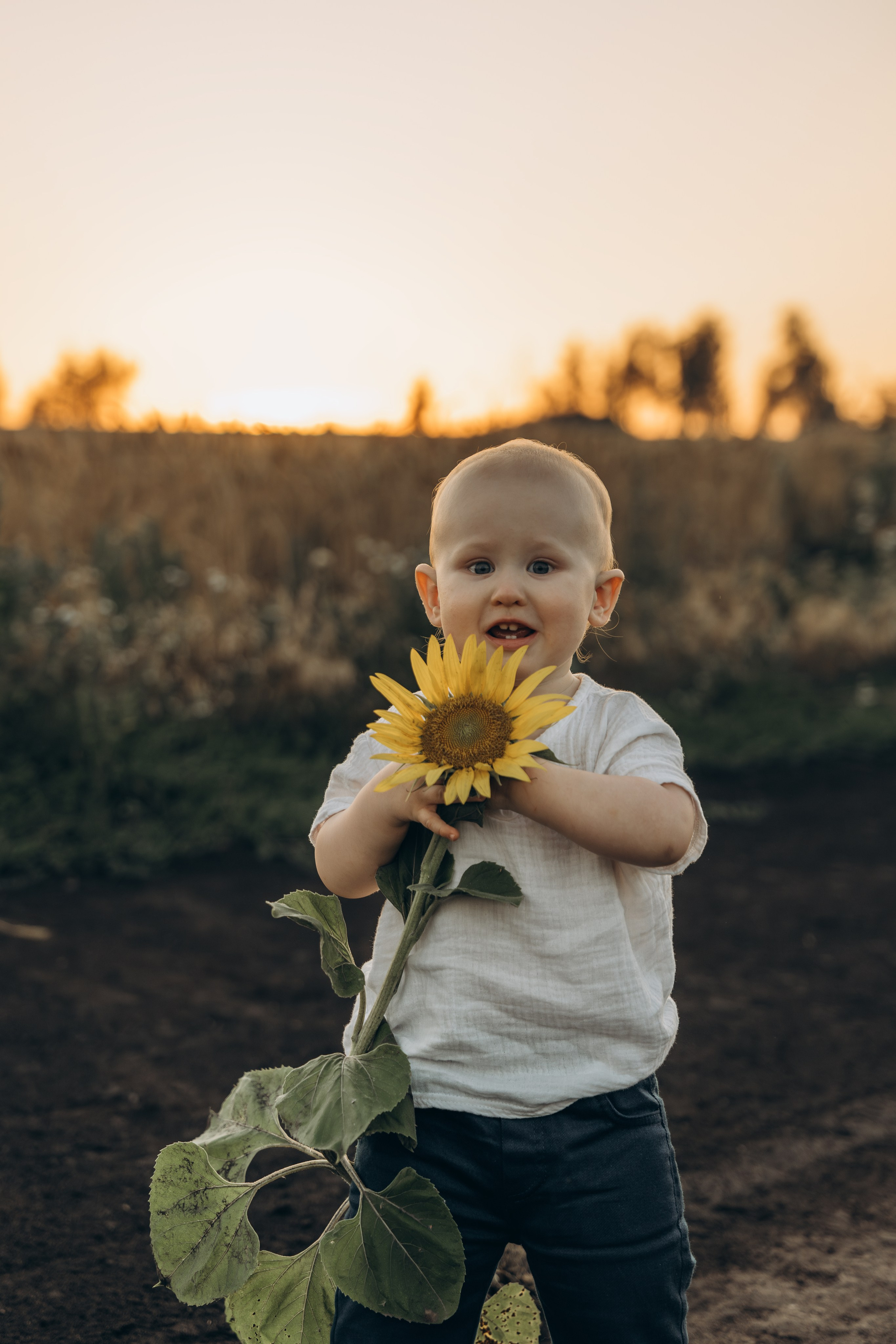 Летняя семейная. Семейный фотограф Москва. Фотограф беременности и материнства Москва
