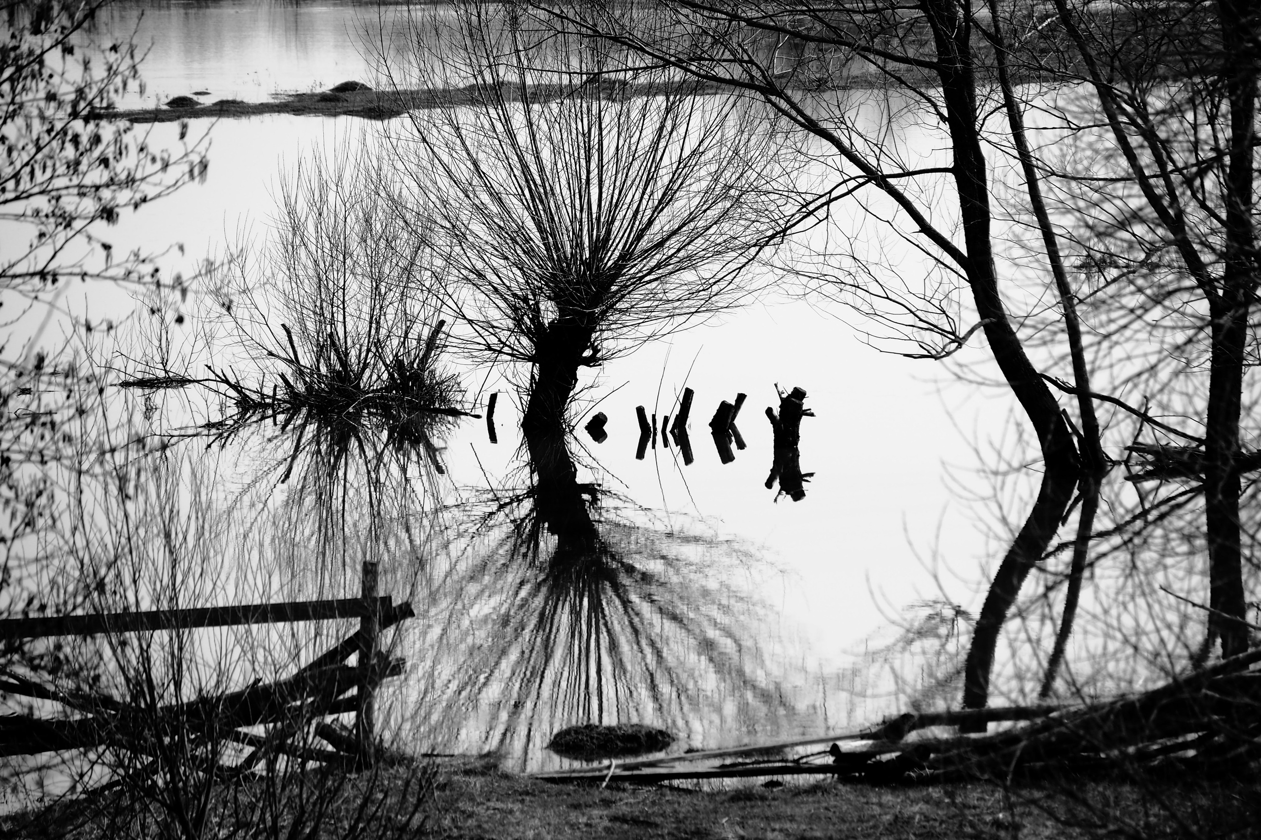 Хулиганизмы. Главная