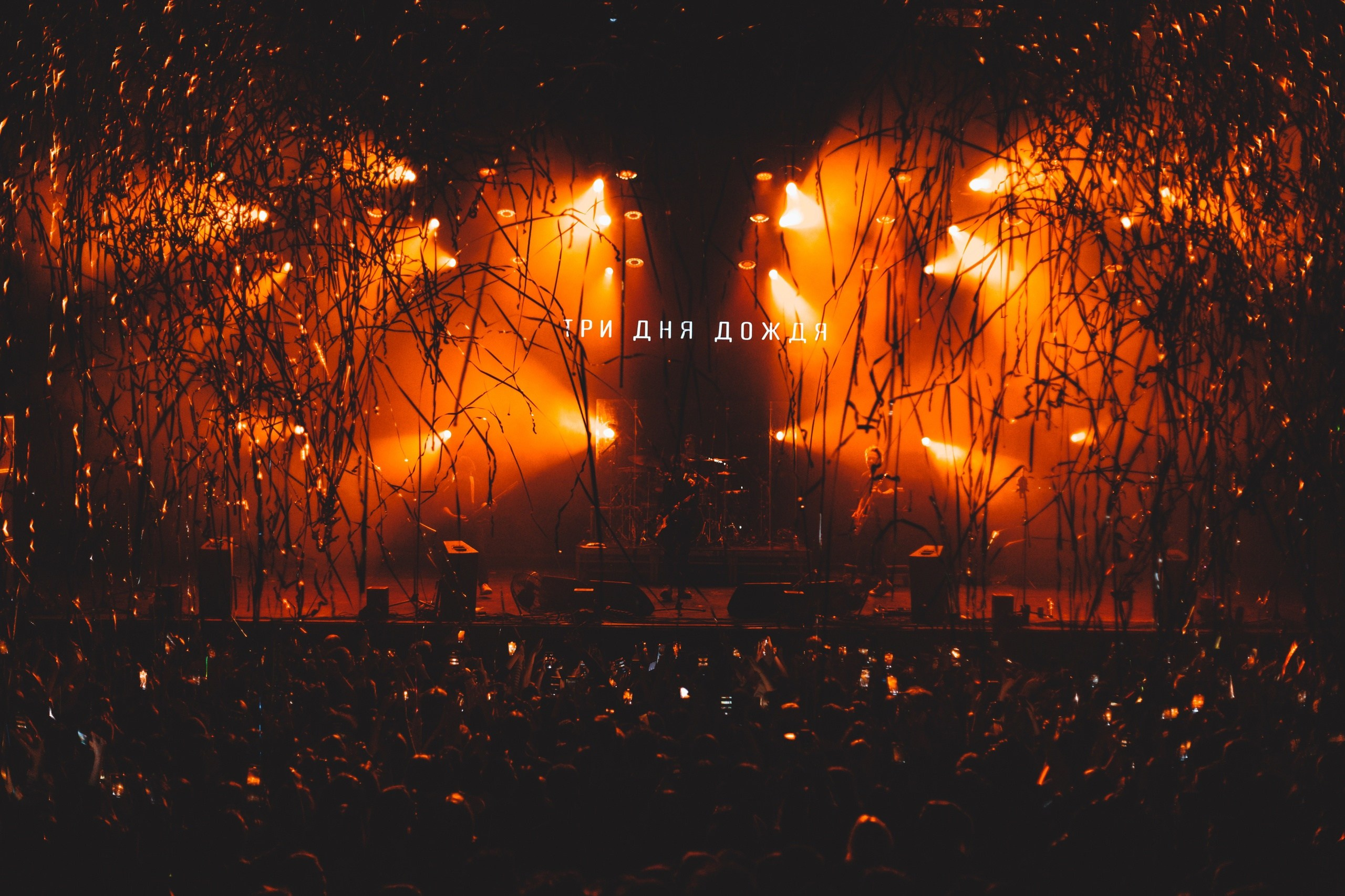 Concerts. Концертный фотограф Евгения Самойлова