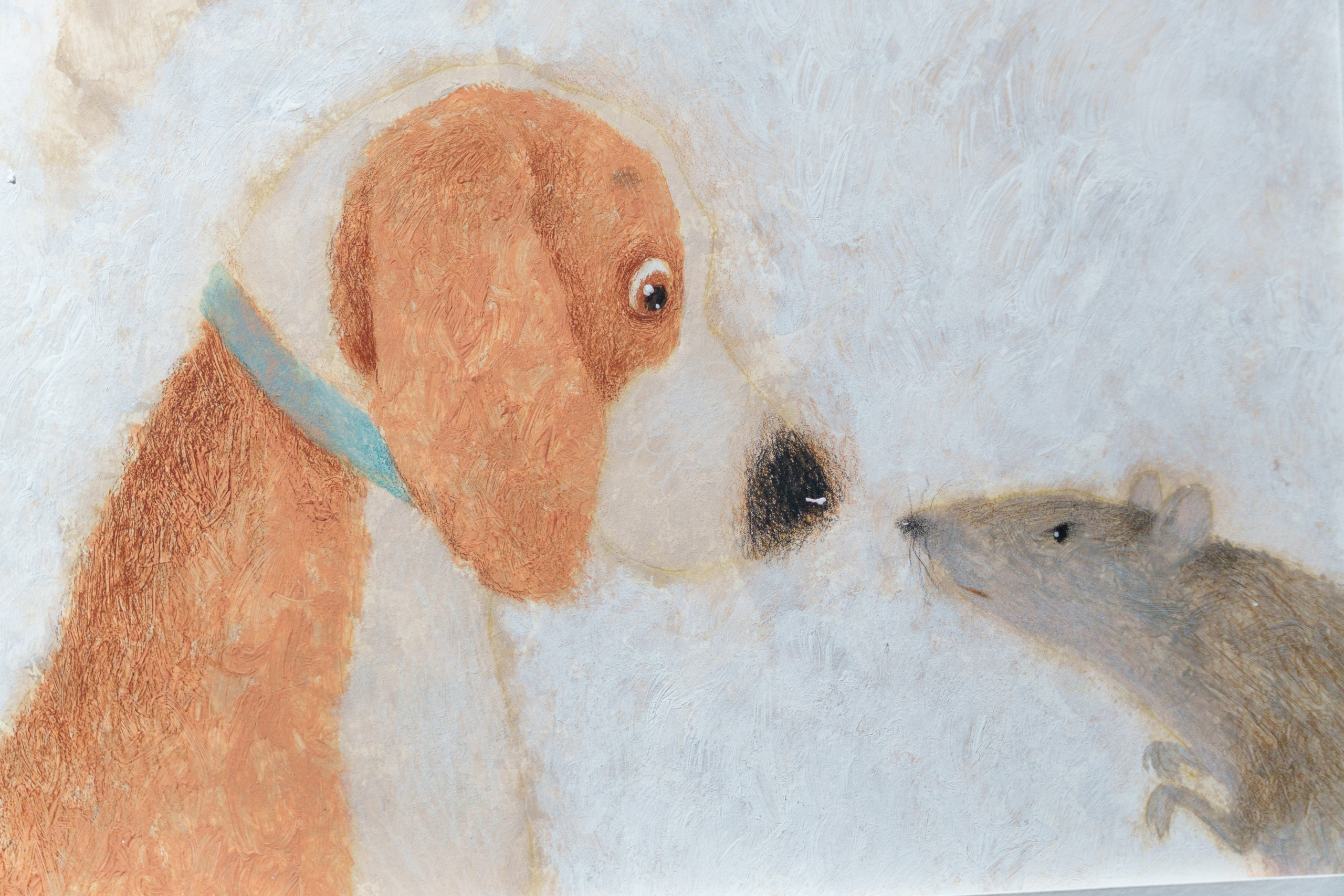 Открытие 11 фестиваля анималистики «Зооарт». Фотограф в Санкт-Петербурге Ибрагимова Алина