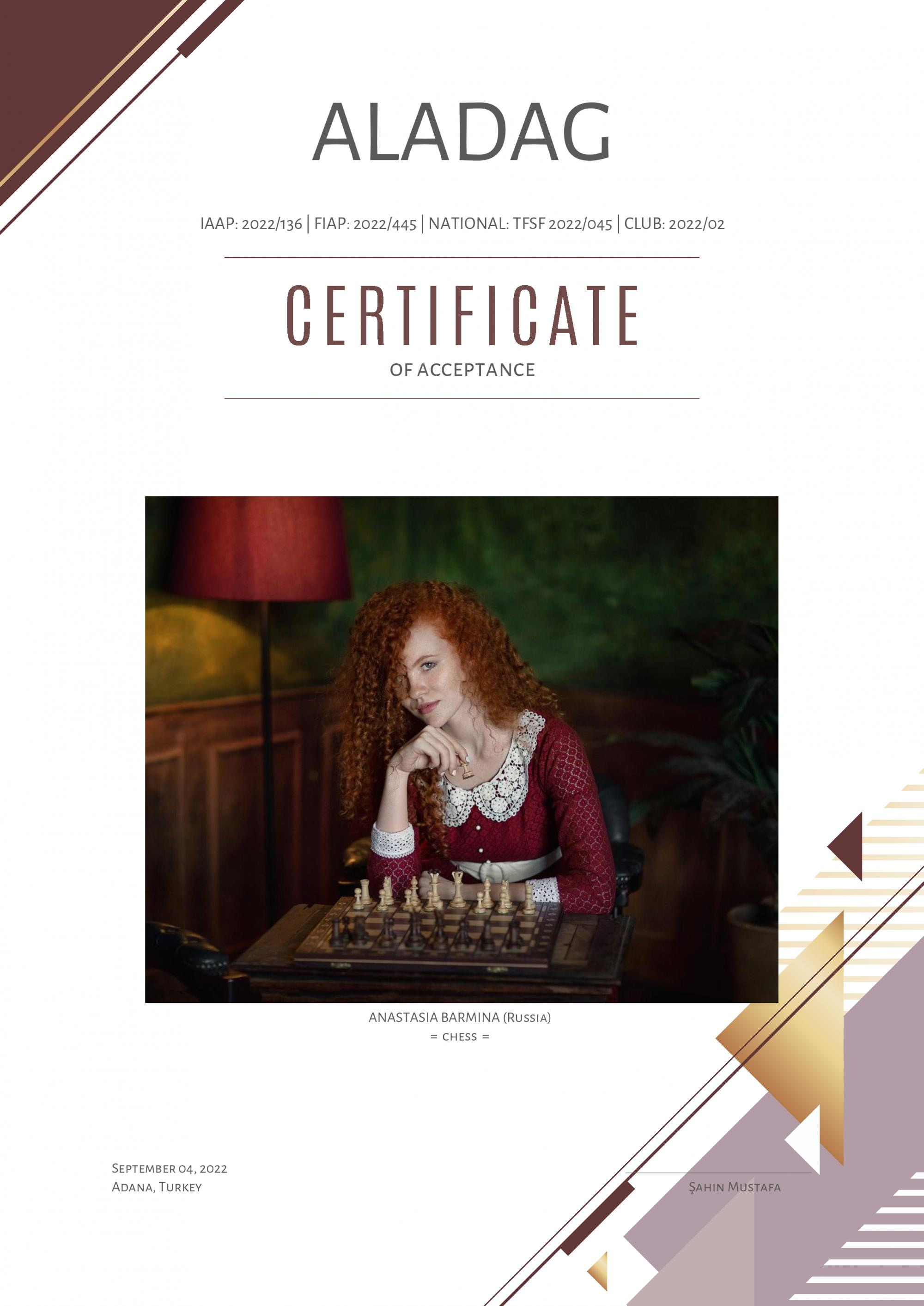 Достижения. Фотограф Бармина Анастасия | Екатеринбург