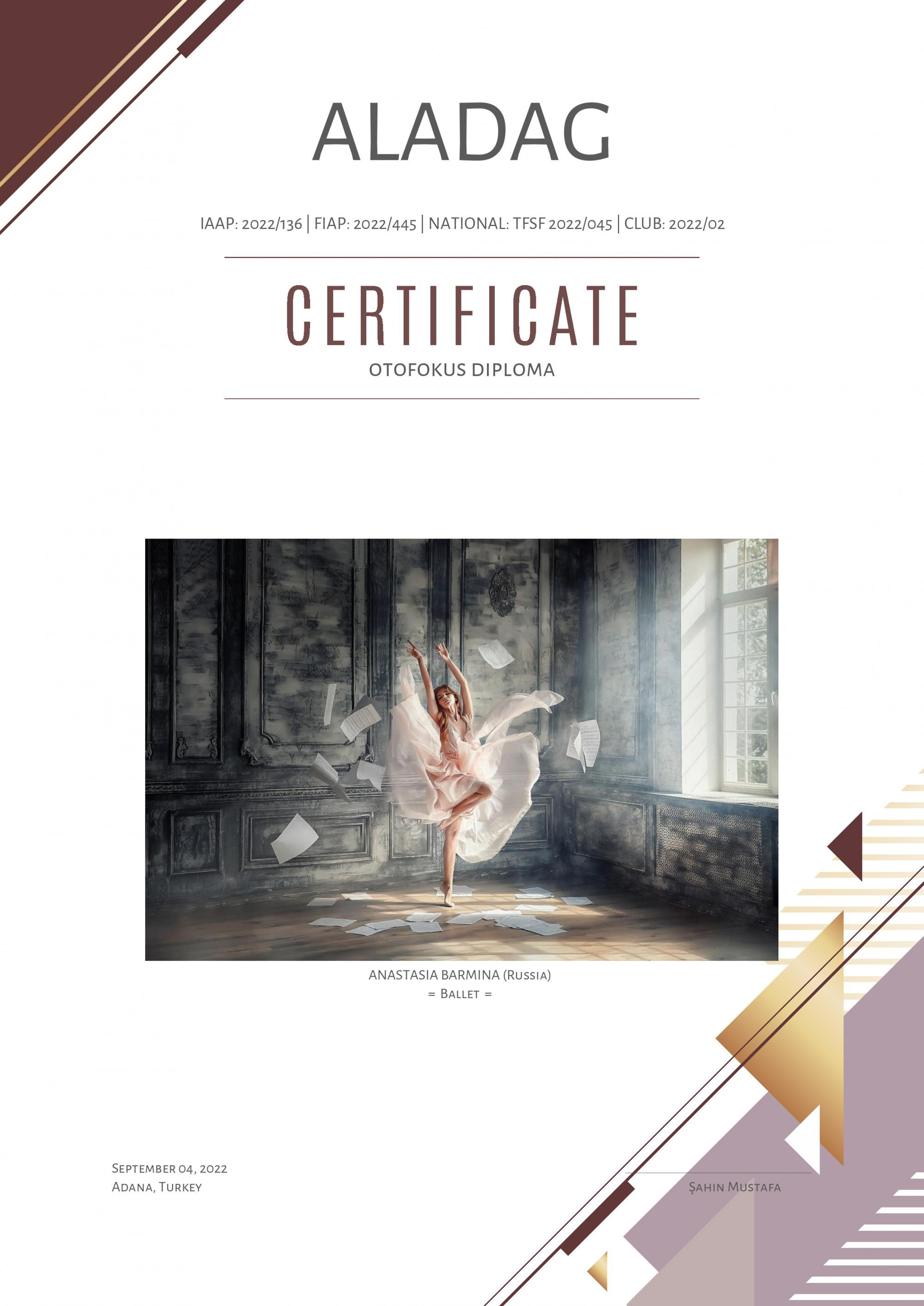 Достижения. Фотограф Бармина Анастасия | Екатеринбург