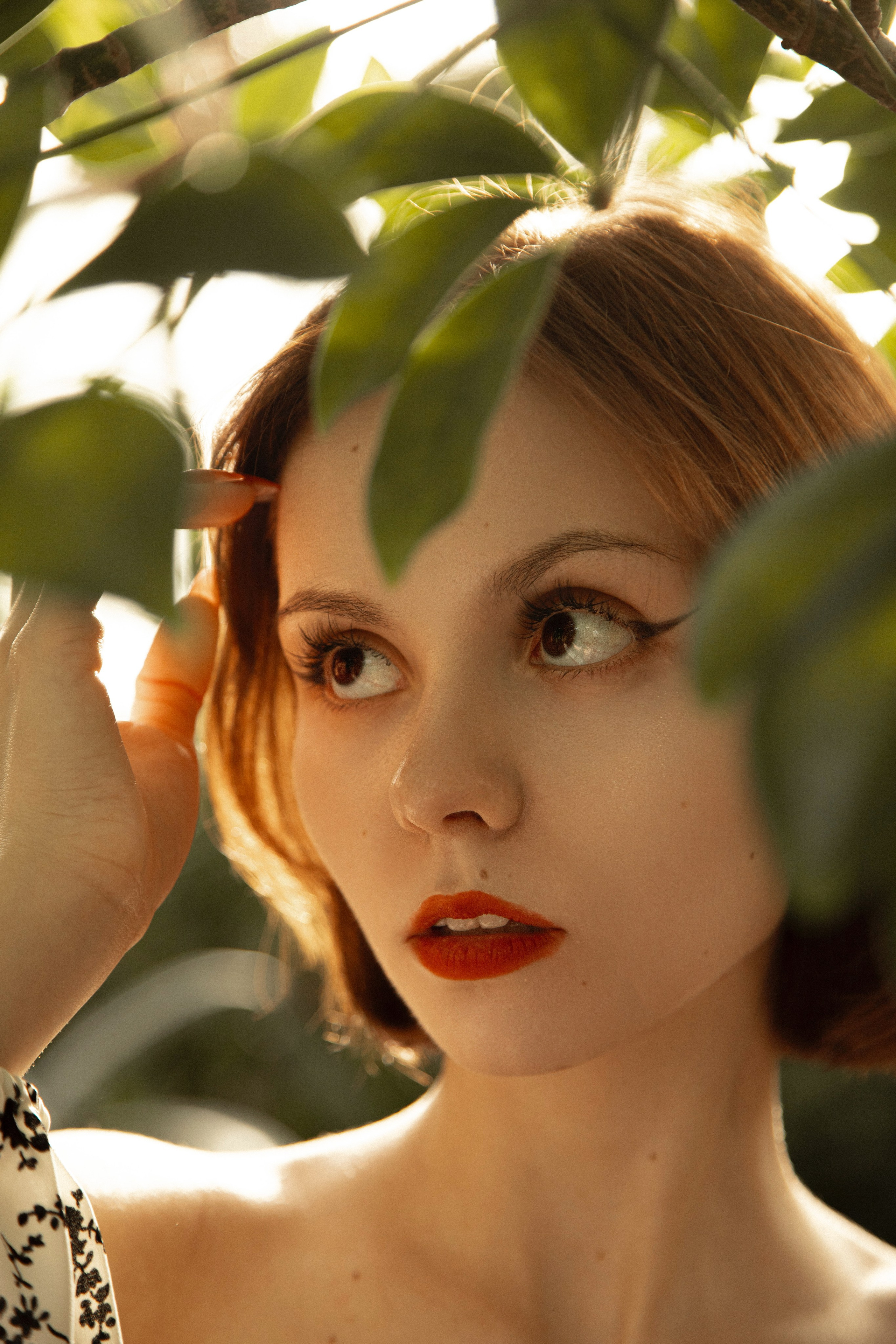 Оранжерея Таврического сада