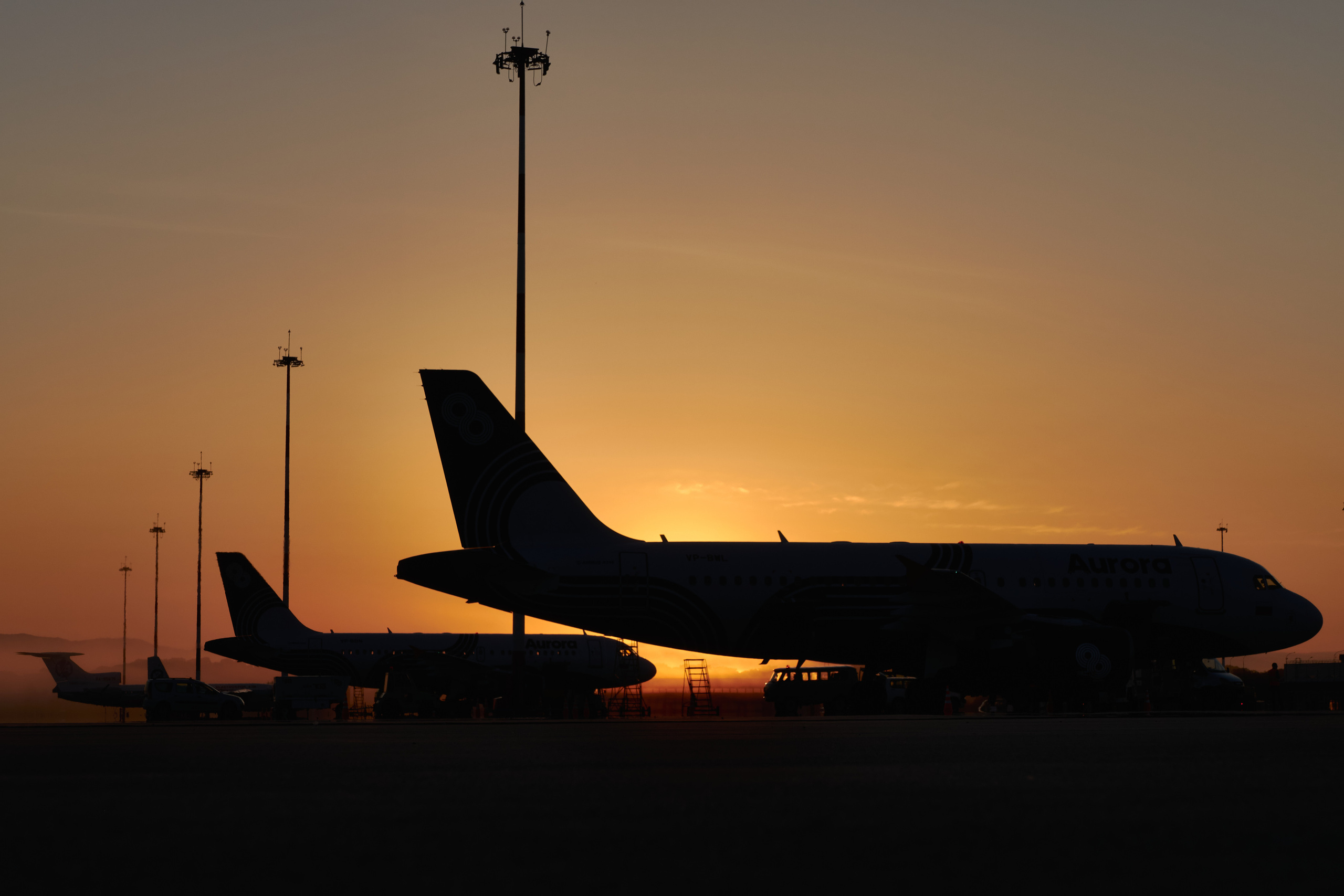 Airbus A-319 а/к "Аврора" на стоянке, авиаспоттинг 2020